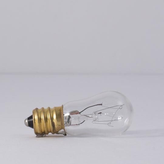 6 Watt S6 Novelty Light Bulb,