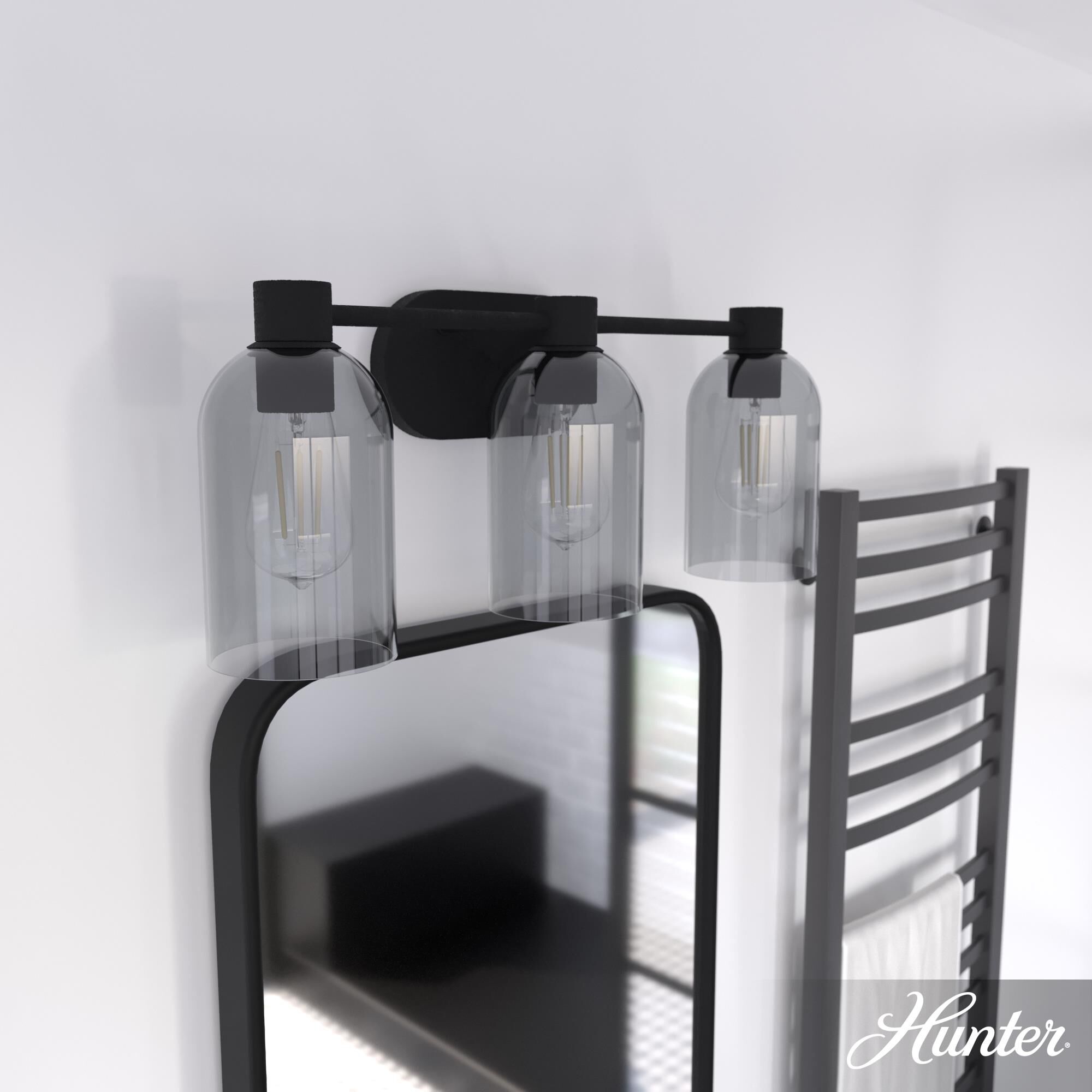 Lochmeade 28 Inch 4 Light Bath Vanity Light by Hunter Fan