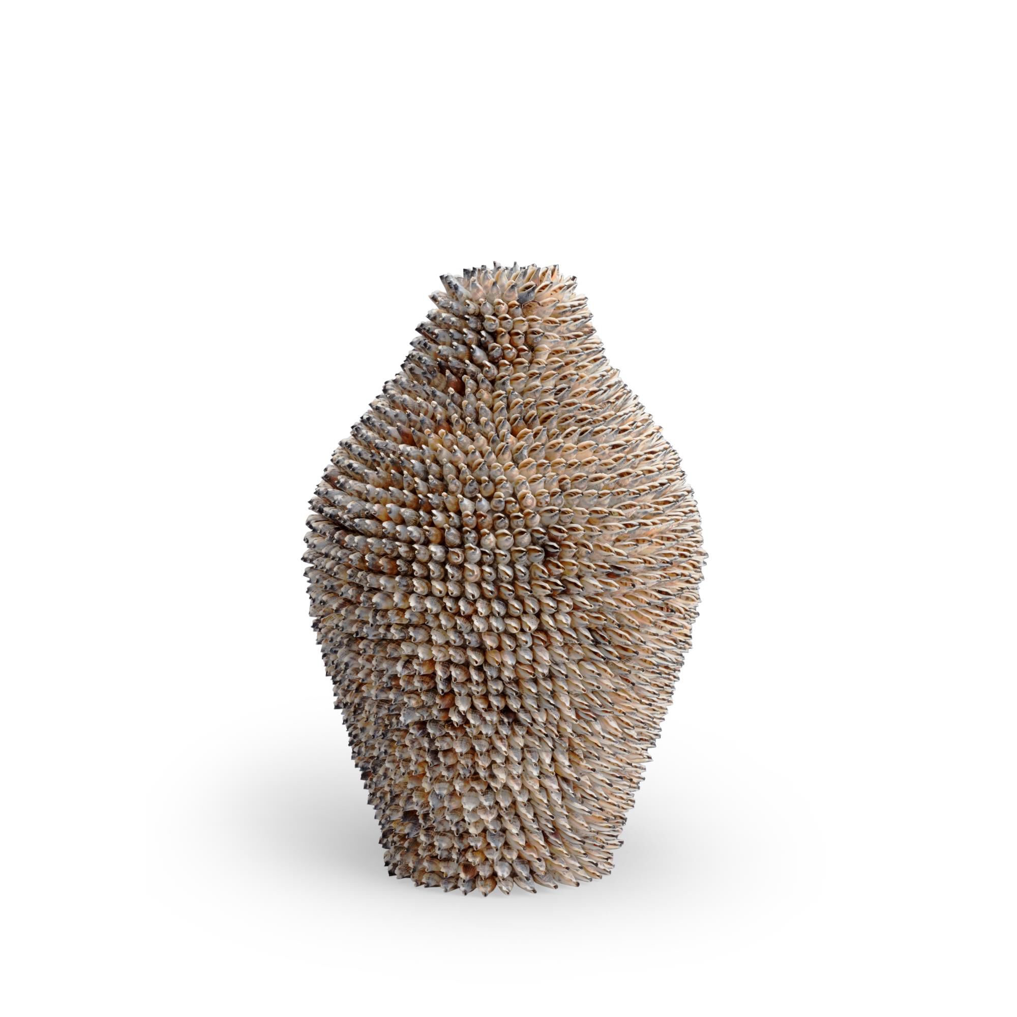 Strombus Vase-Urn by Chelsea House