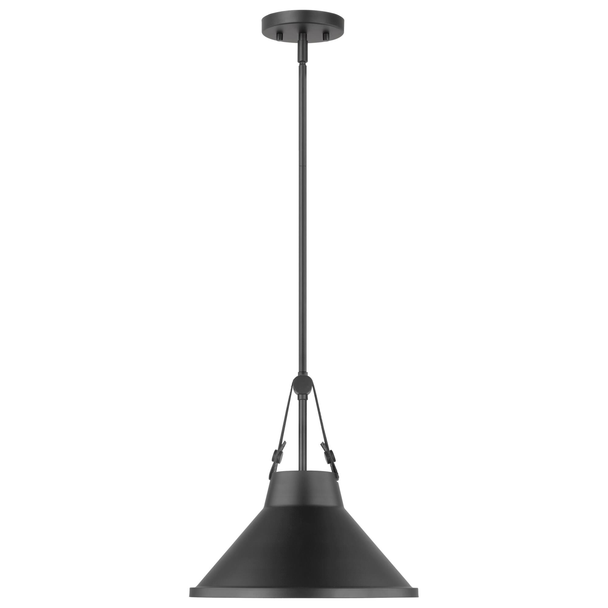 Nuvo Lighting Zelda 14 Inch Large Pendant