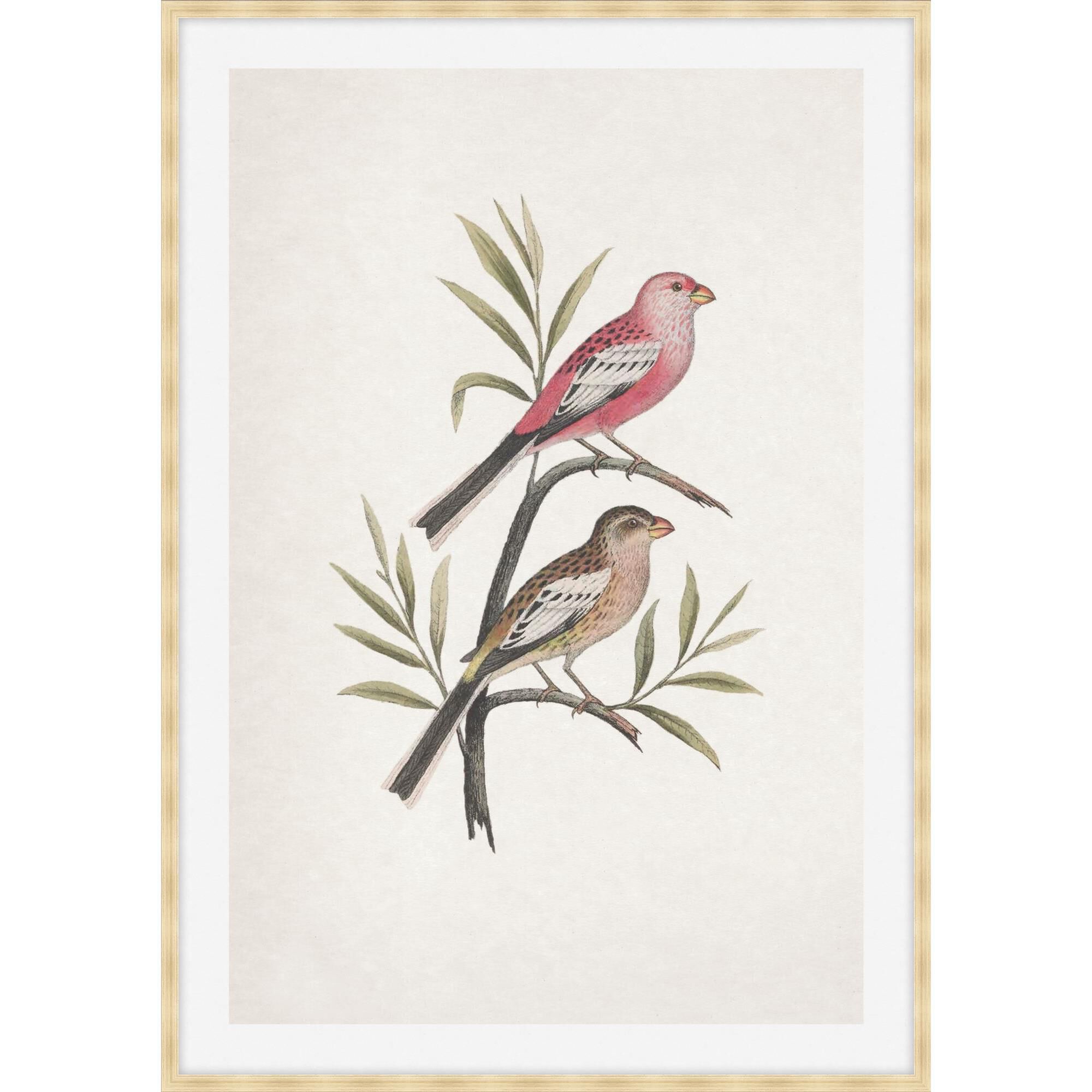 Studio L57 Nouvelle Nesting Navigators Ivory Print by LEVEL57