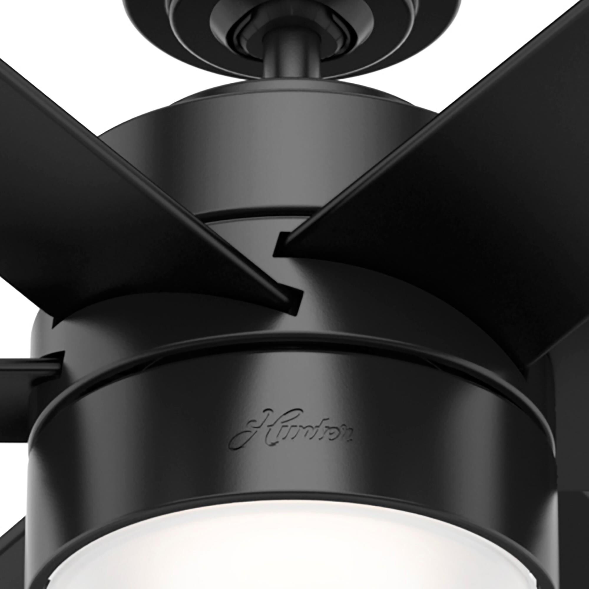 Solaria Ceiling Fan by Hunter Fan