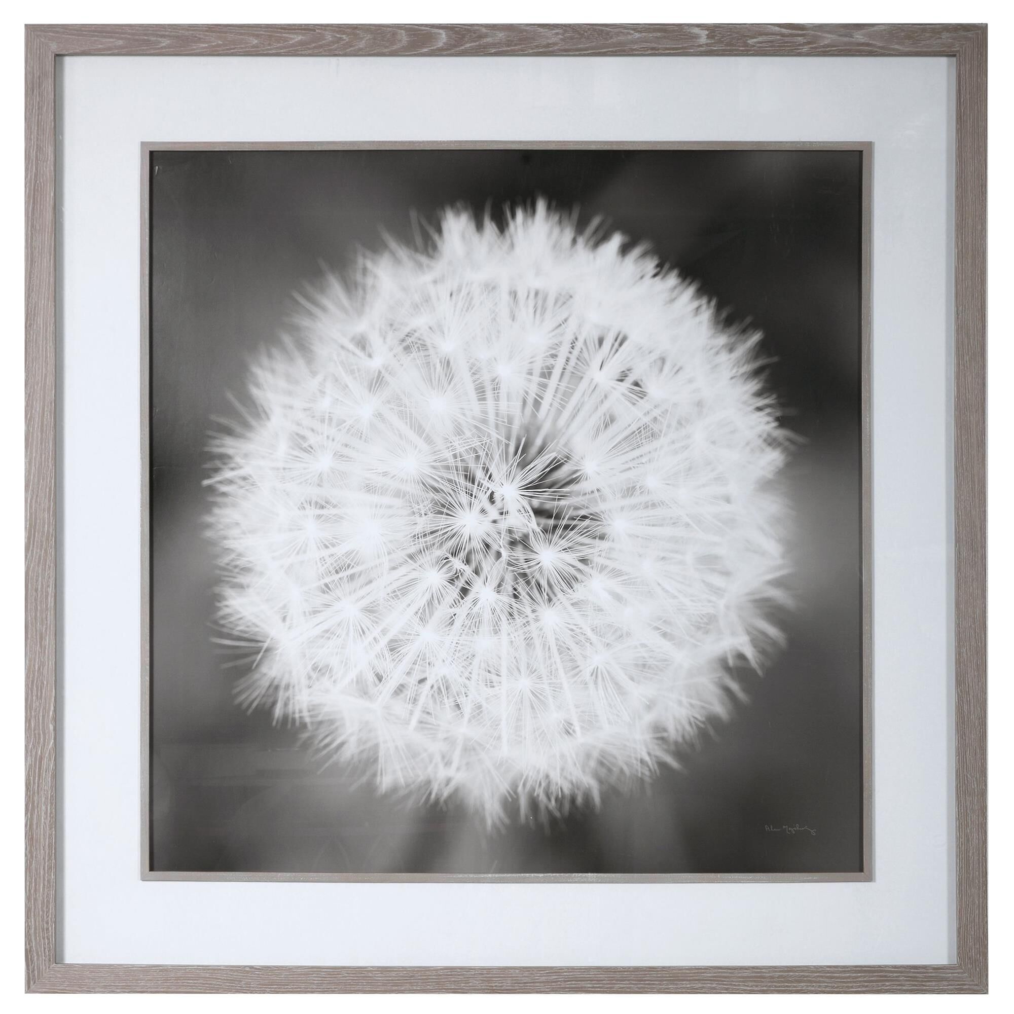 Shown in Driftwood Look To Frame And Fillet, Large White Matte, Black And White Print Of Dandelion finish