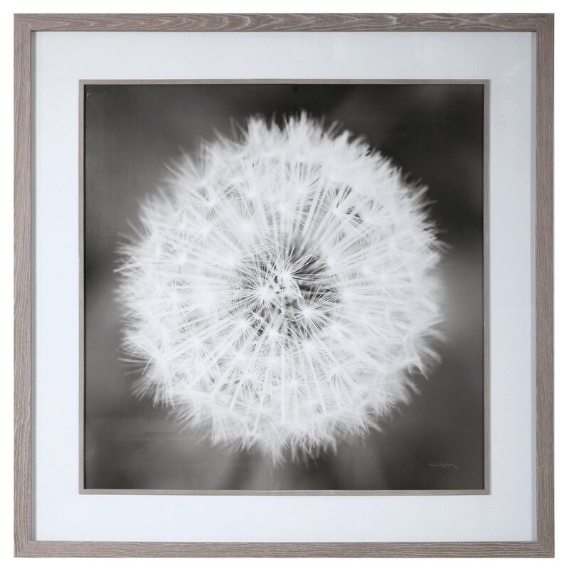 Dandelion Seedhead Print by Uttermost