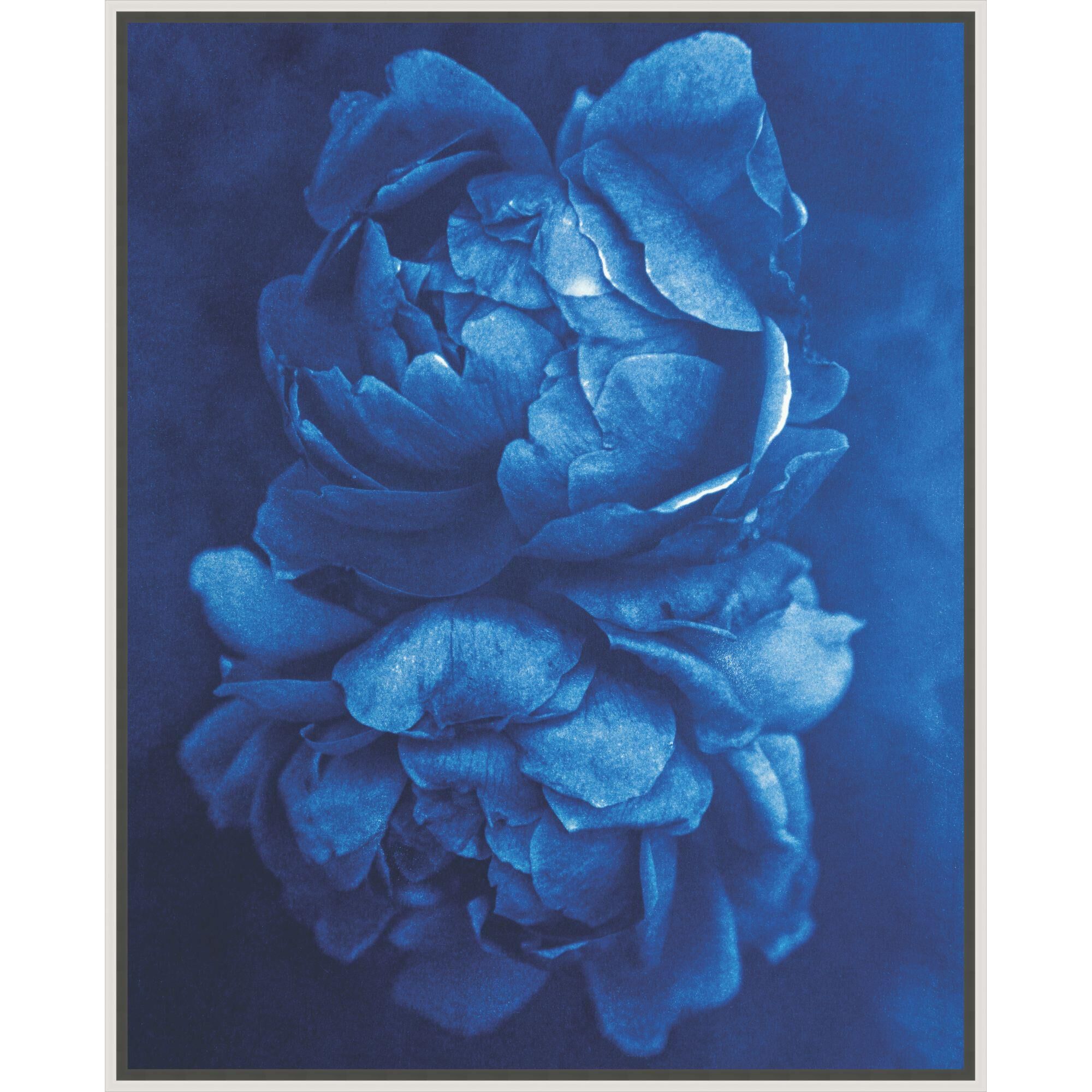 Ali Lanenga Two Roses Print by LEVEL57