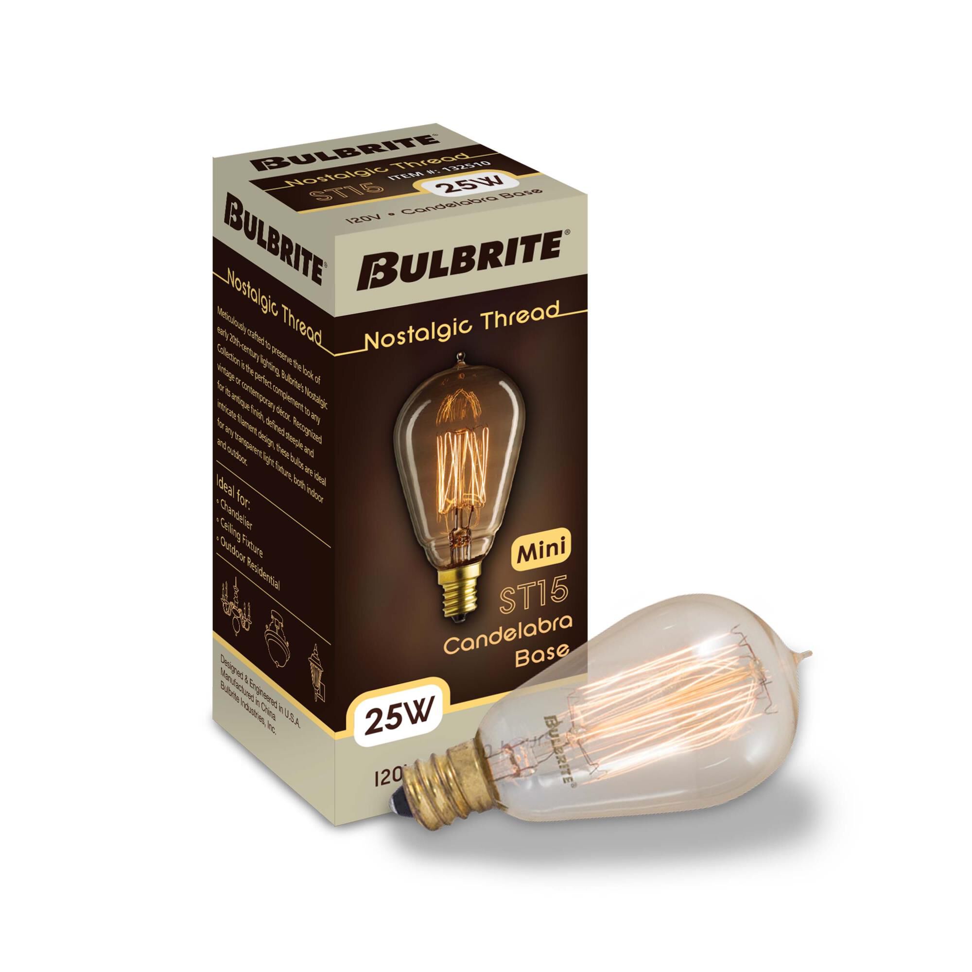 25 Watt 2200K ST15 Incandescent Light Bulb,