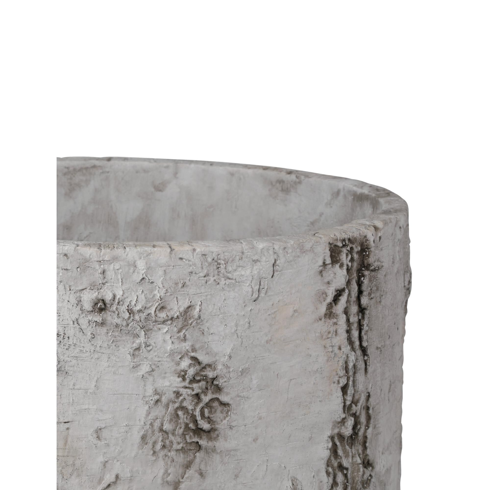 Faux Birch Planter by Currey and Company