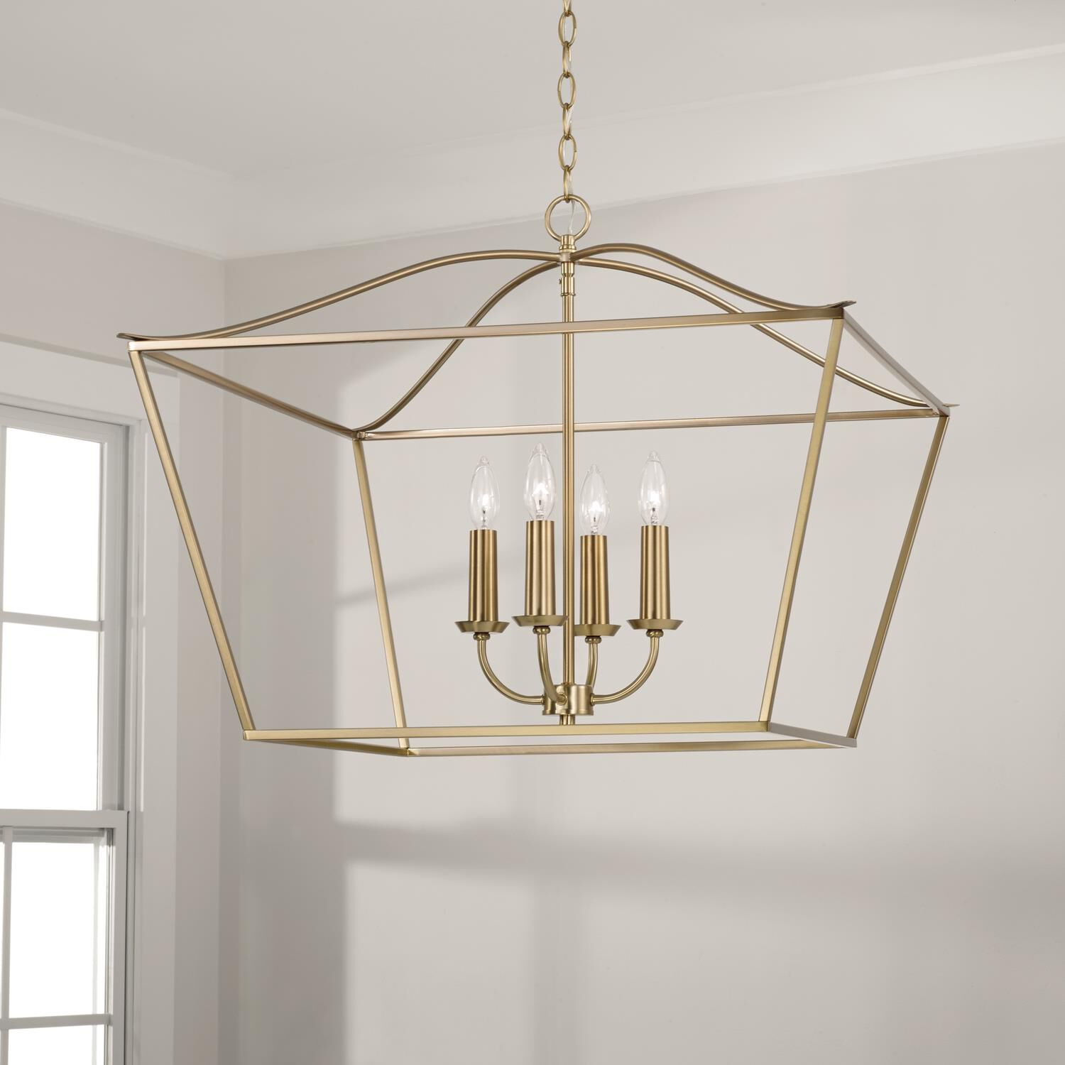 Grady 38 Inch Cage Pendant by Capital Lighting Fixture Company