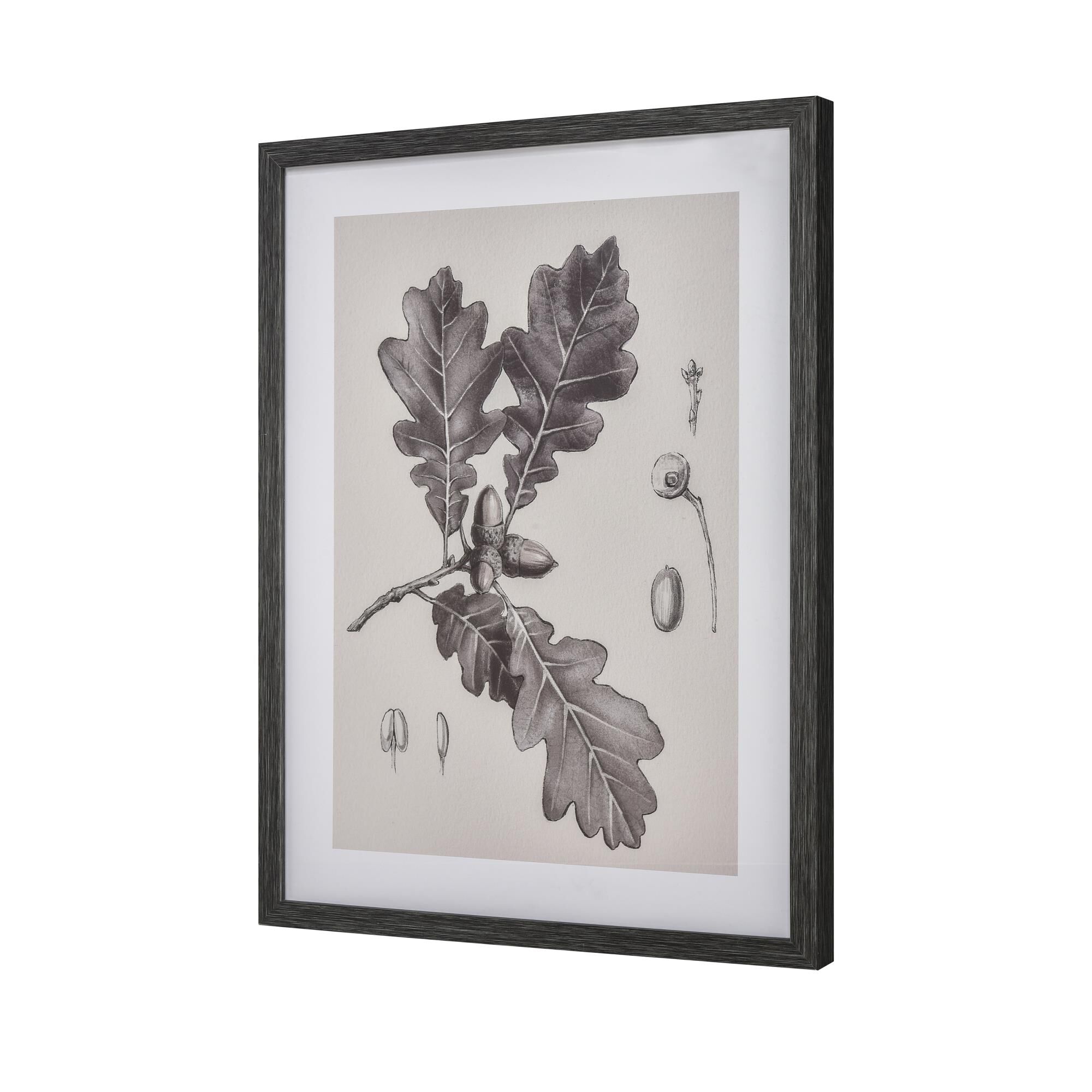 Oak Botanic Alternative Wall Art by ELK Home