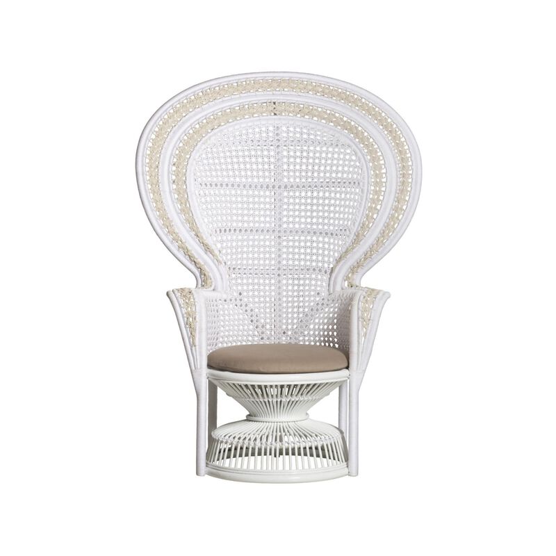 Emanuelle Accent Chair by Currey & Company