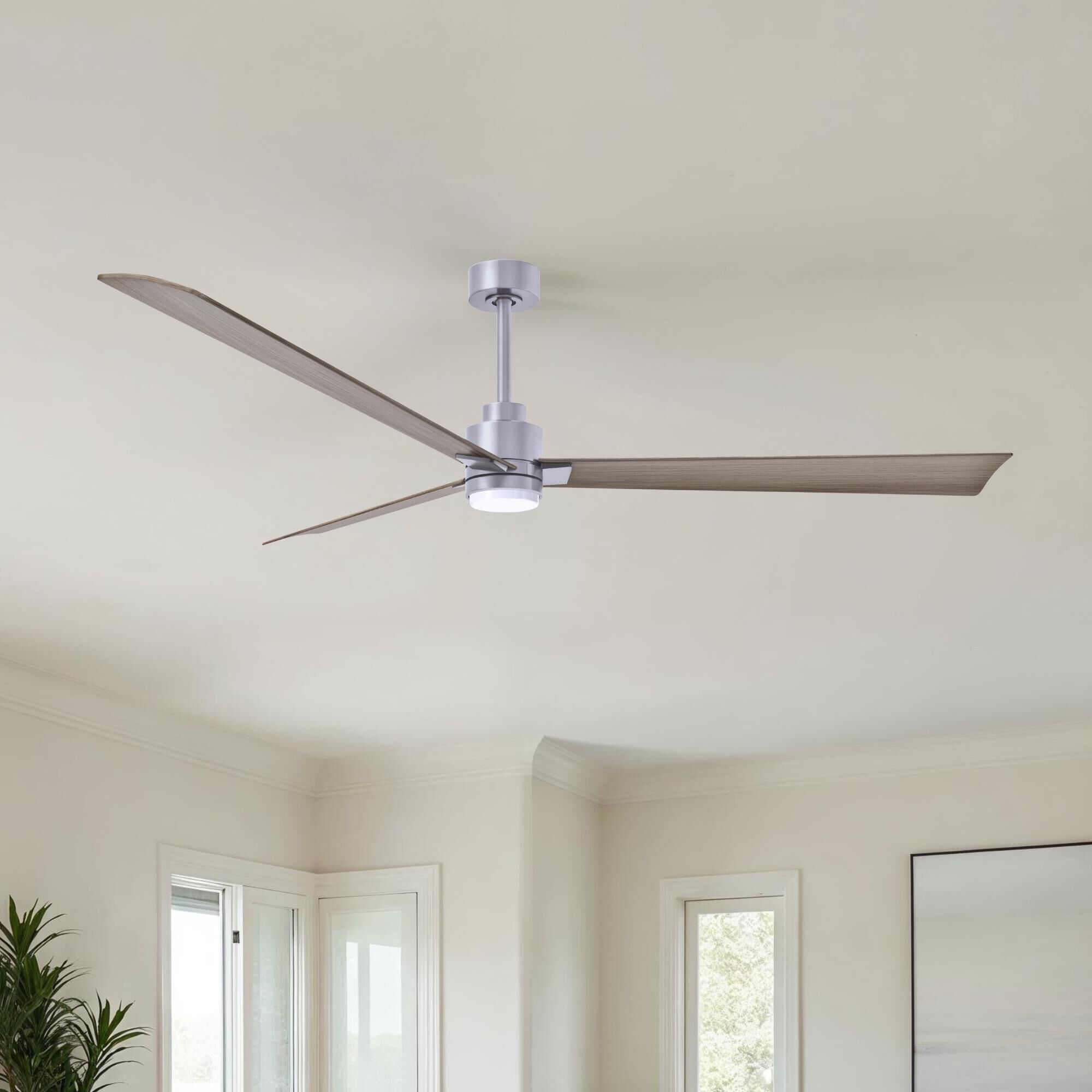 Alessandra 72 Inch Ceiling Fan by Matthews Fan Company