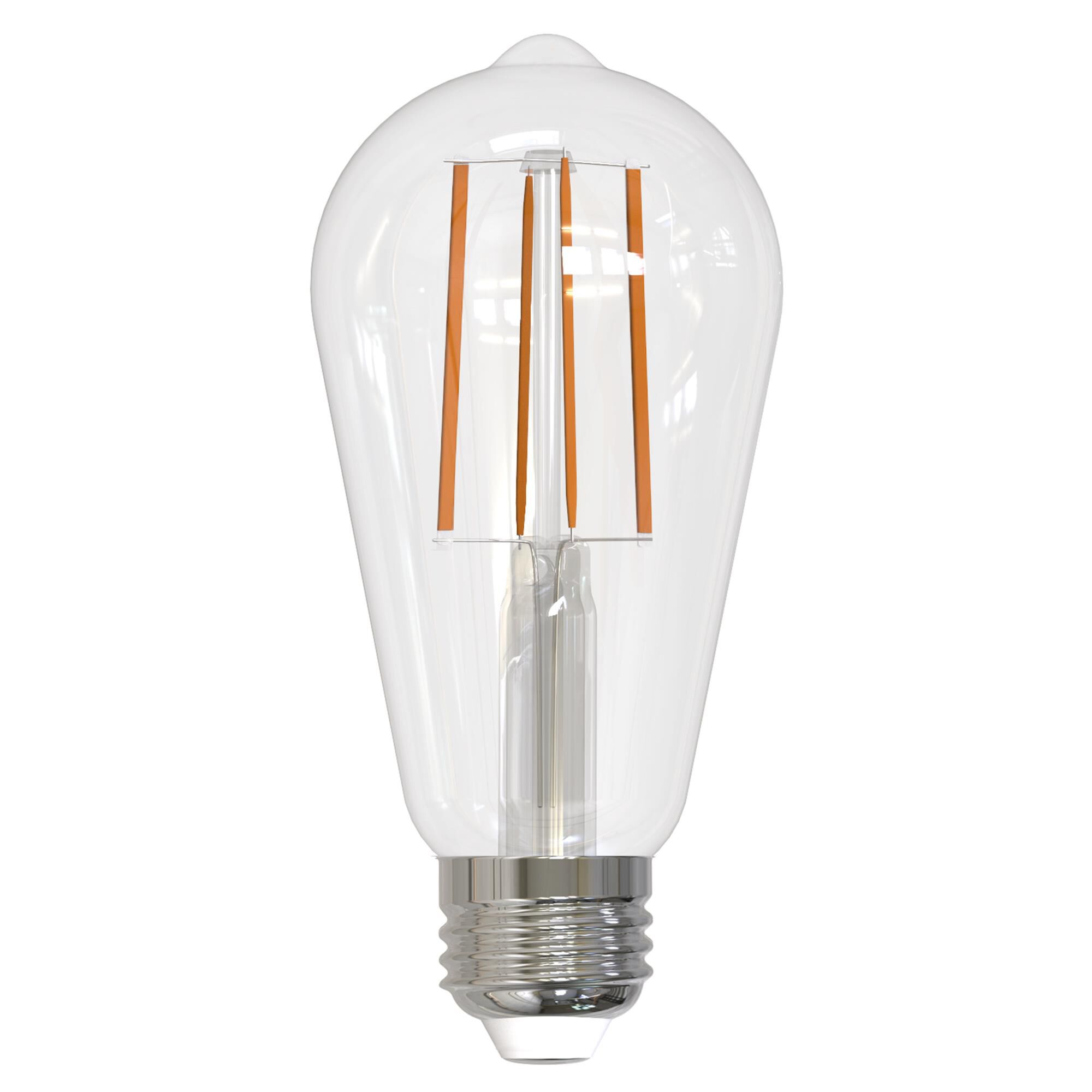 Dimmable 13 Watt 3000K ST18 LED Light Bulb by Bulbrite