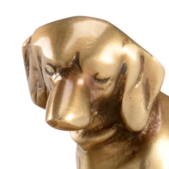 Colonel Coin Tray Tray by Wildwood