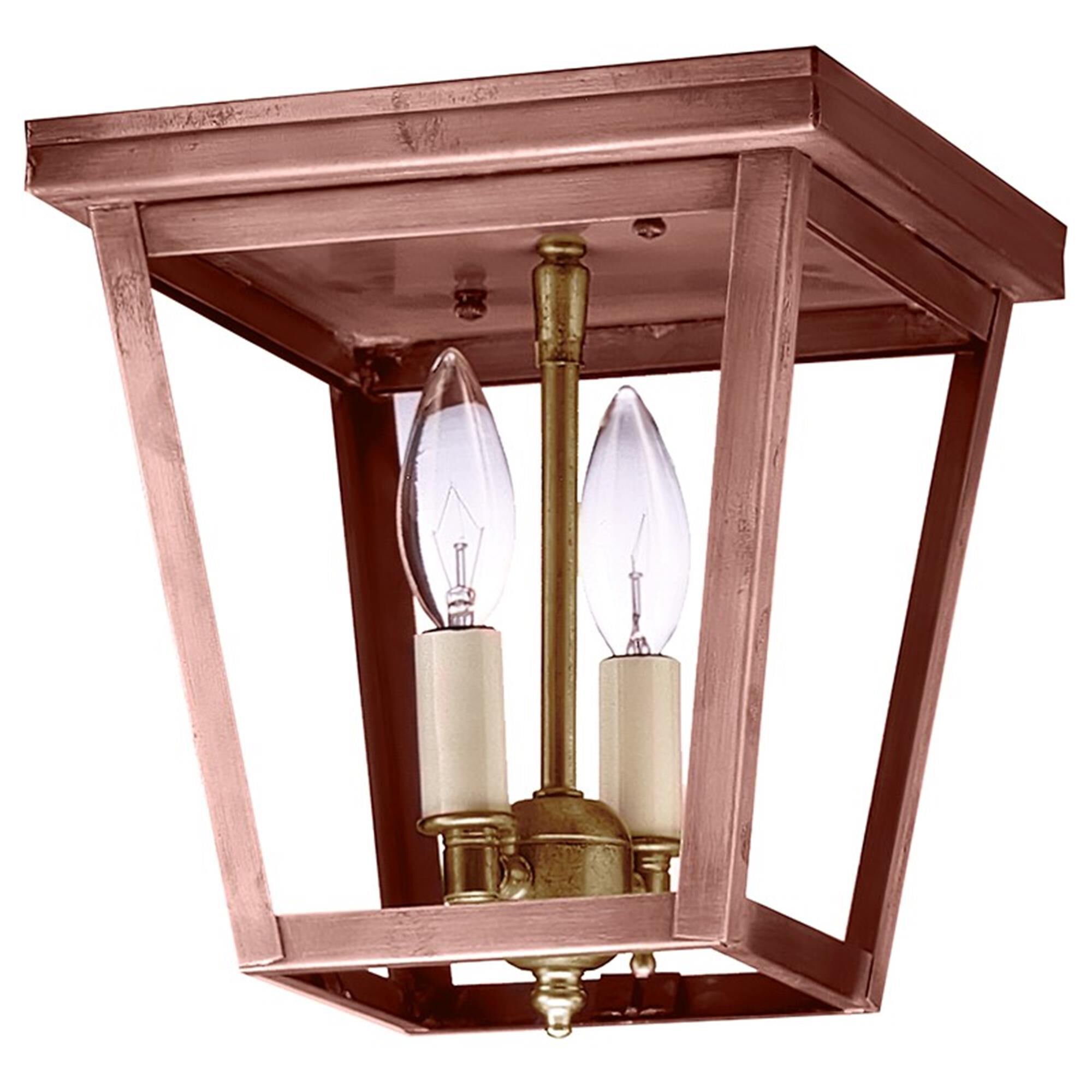 Williams 8 Inch 2 Light Outdoor Flush Mount,