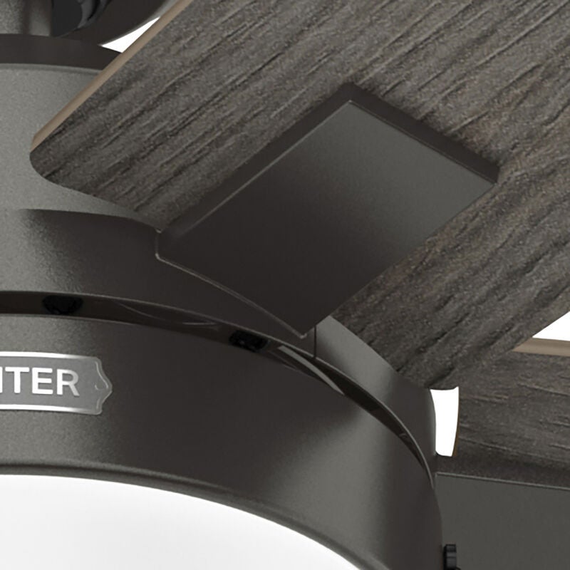 Anisten 52 Inch Ceiling Fan with Light Kit by Hunter Fan