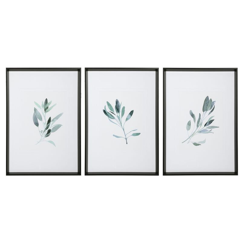 Uttermost Simple Sage Watercolor Prints, S/3 Print by Uttermost