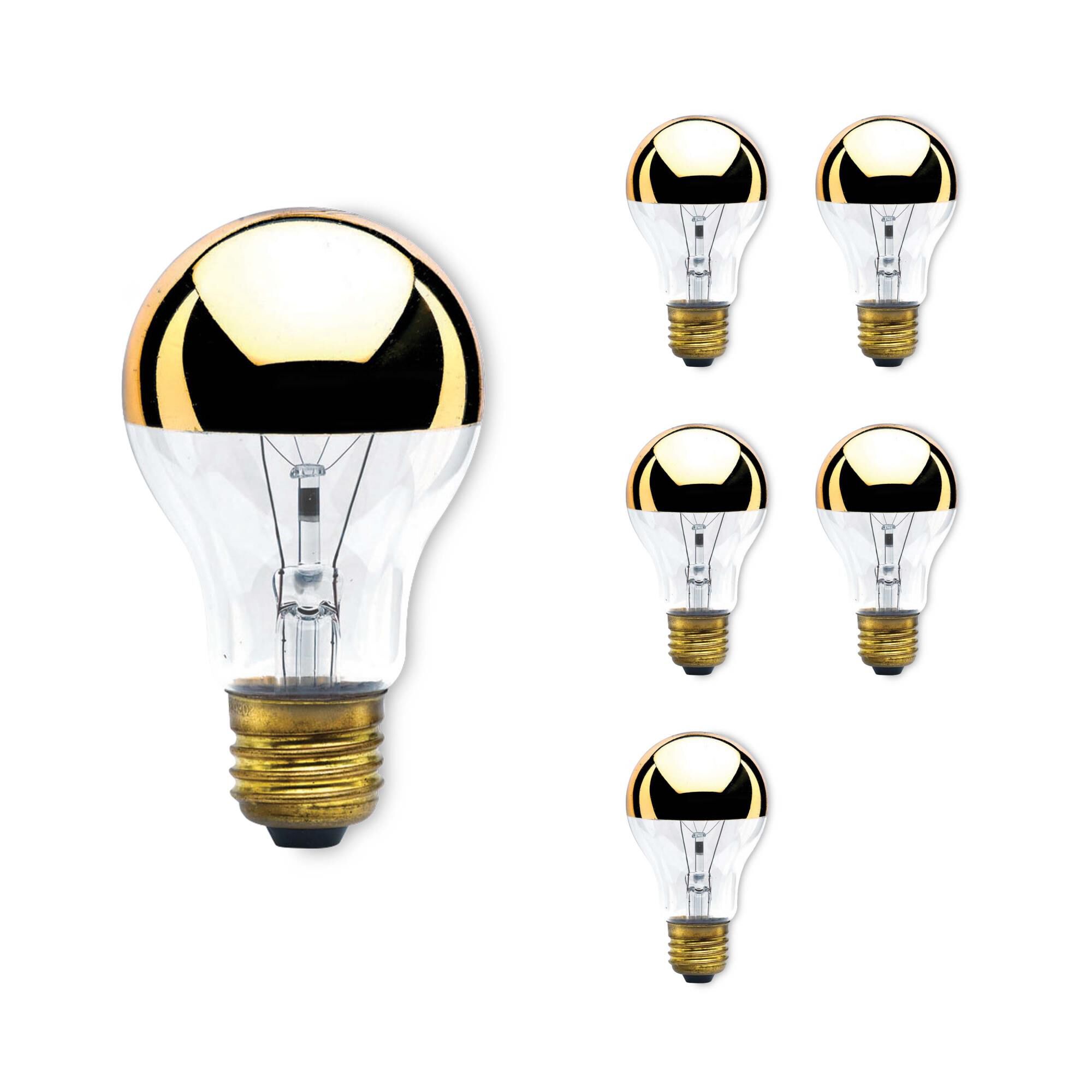 60 Watt 2700K A19 Incandescent Light Bulb,