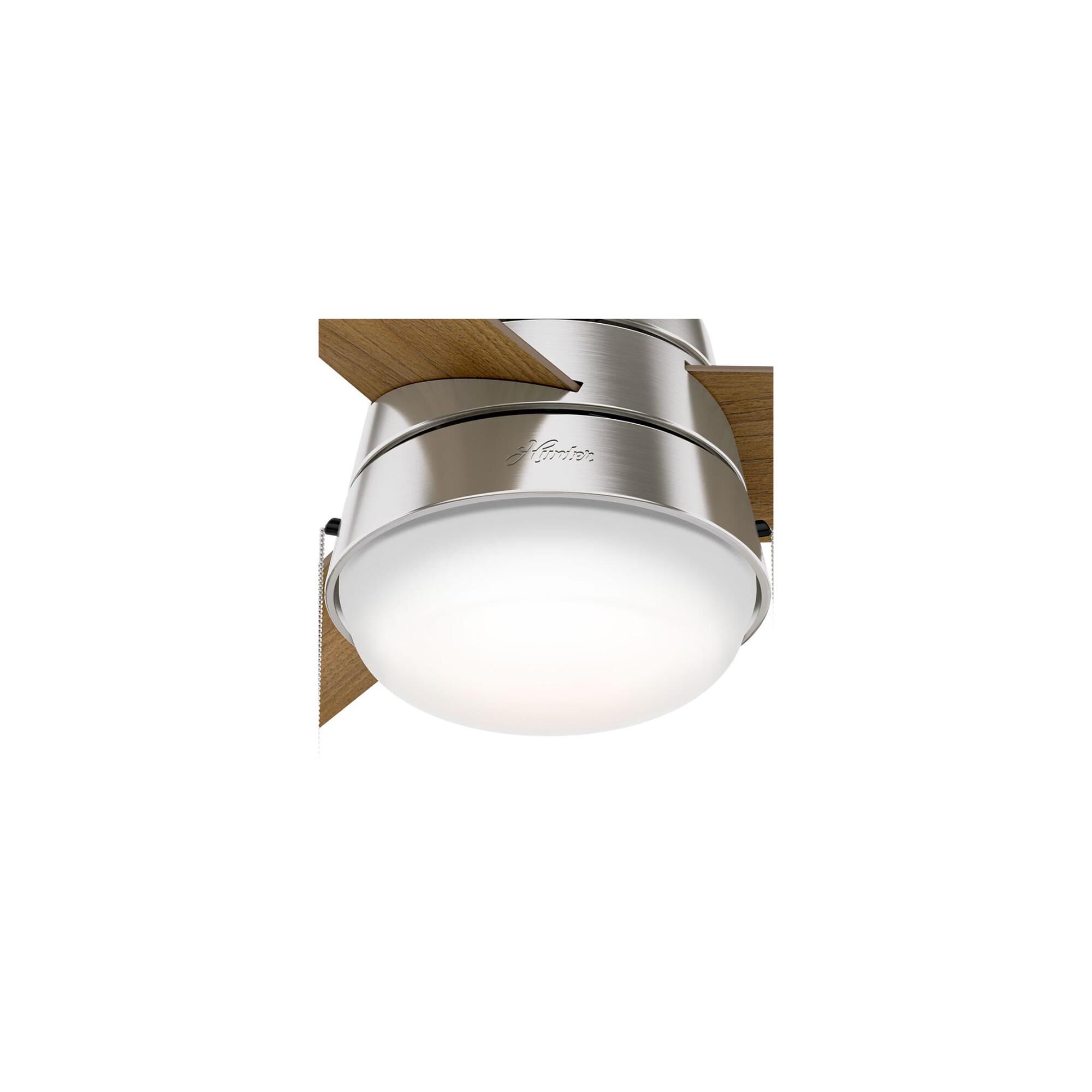 Aker 36 Inch Ceiling Fan with Light Kit by Hunter Fan