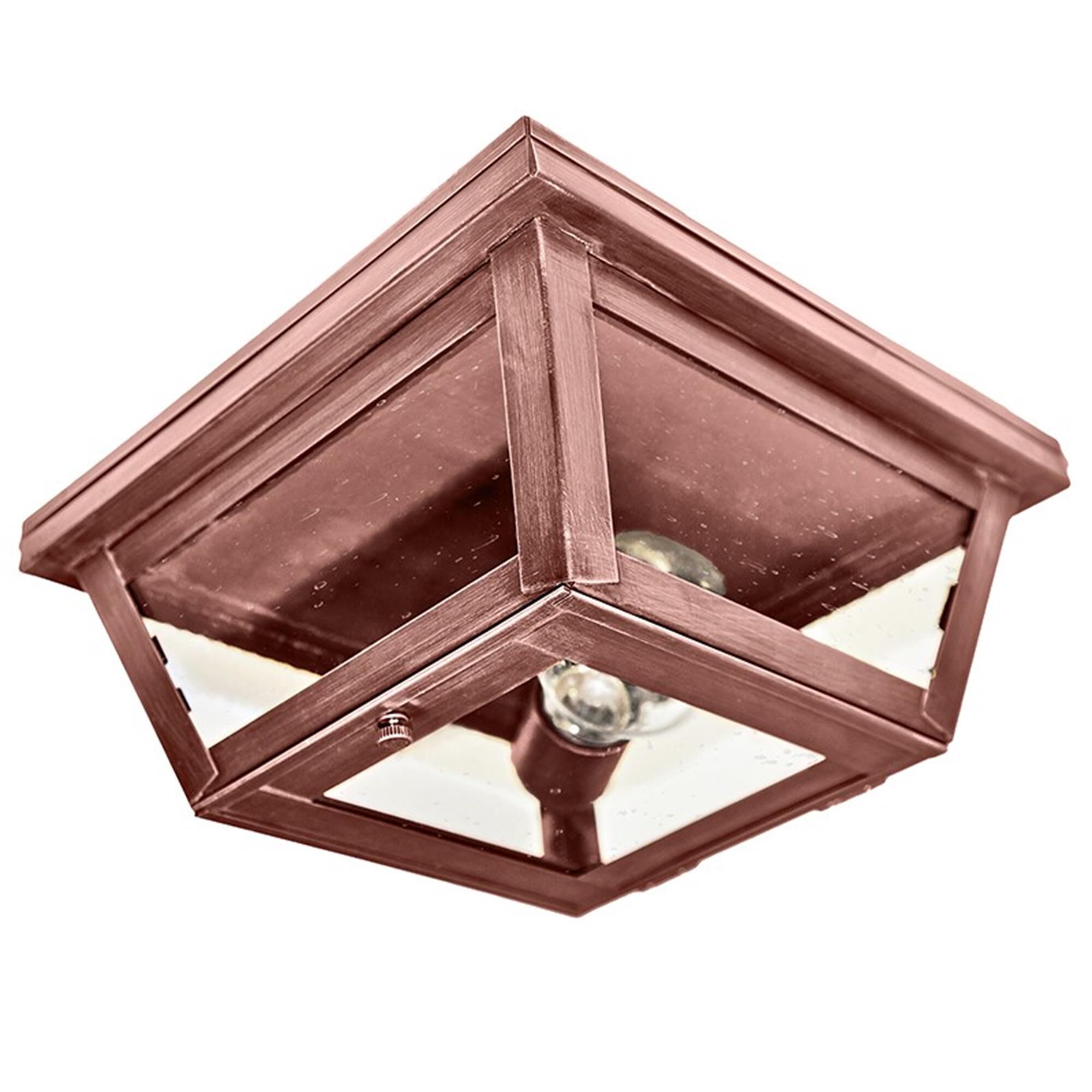 Williams 9 Inch Outdoor Flush Mount,