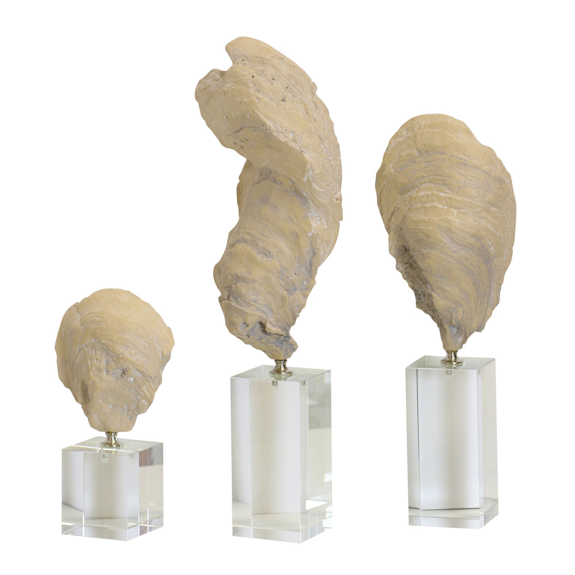Clam Sculpture Set of 3,