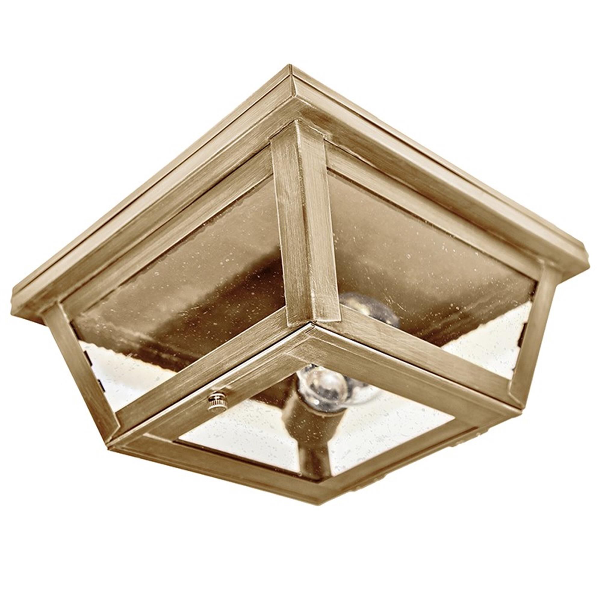Williams 9 Inch Outdoor Flush Mount,
