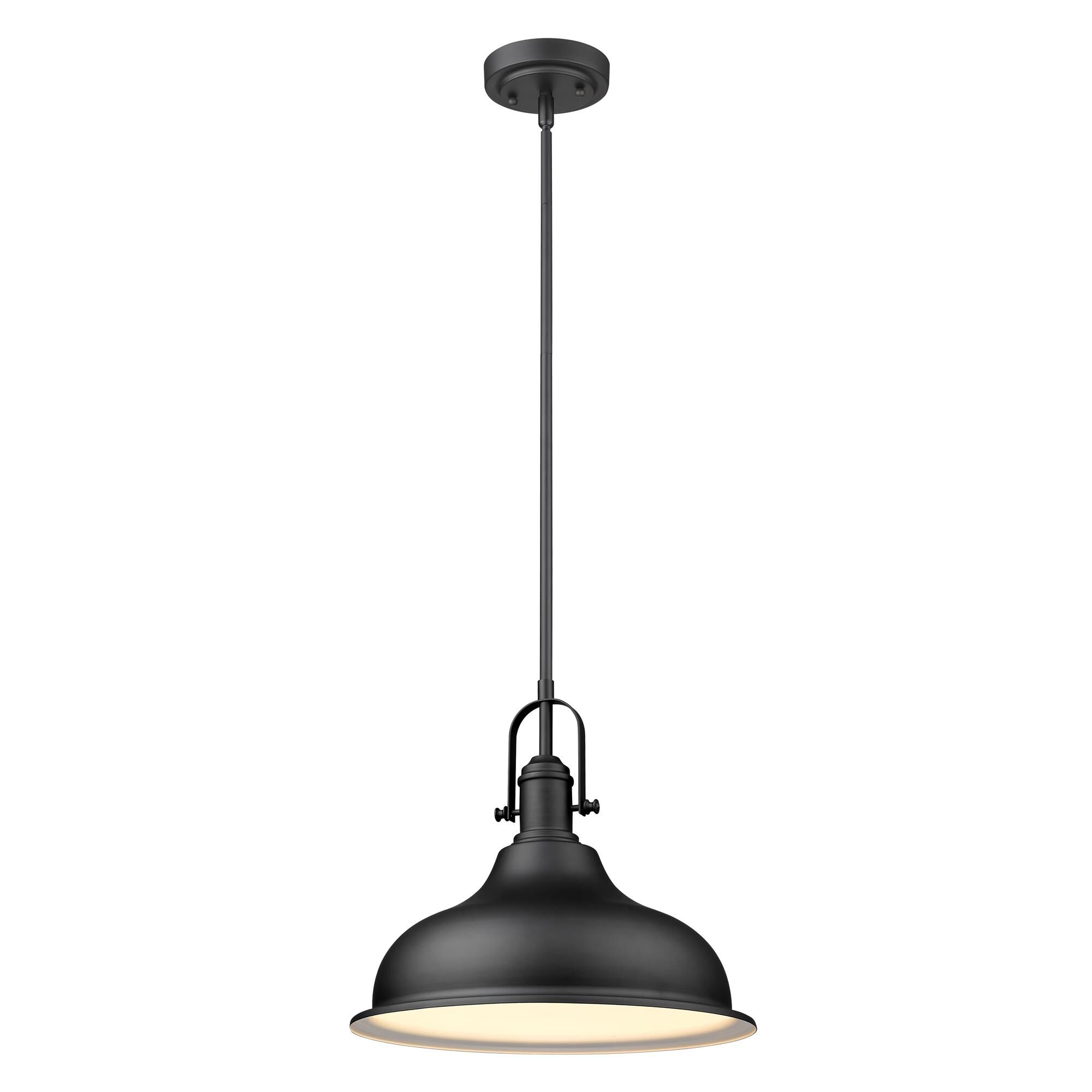 Acclaim Lighting Virginia 14 Inch Large Pendant