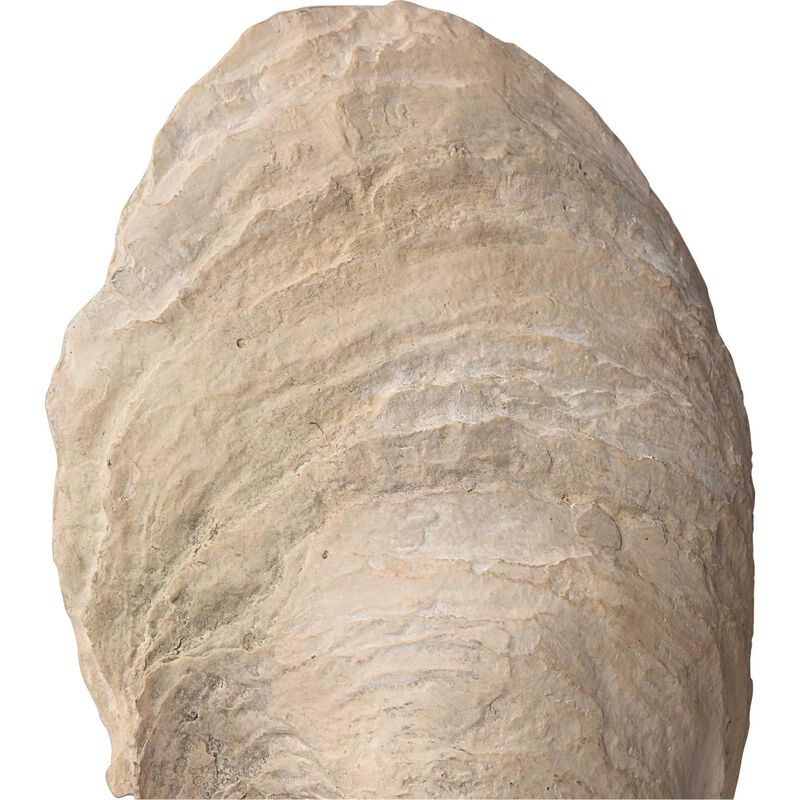 Oyster Figurine by Uttermost