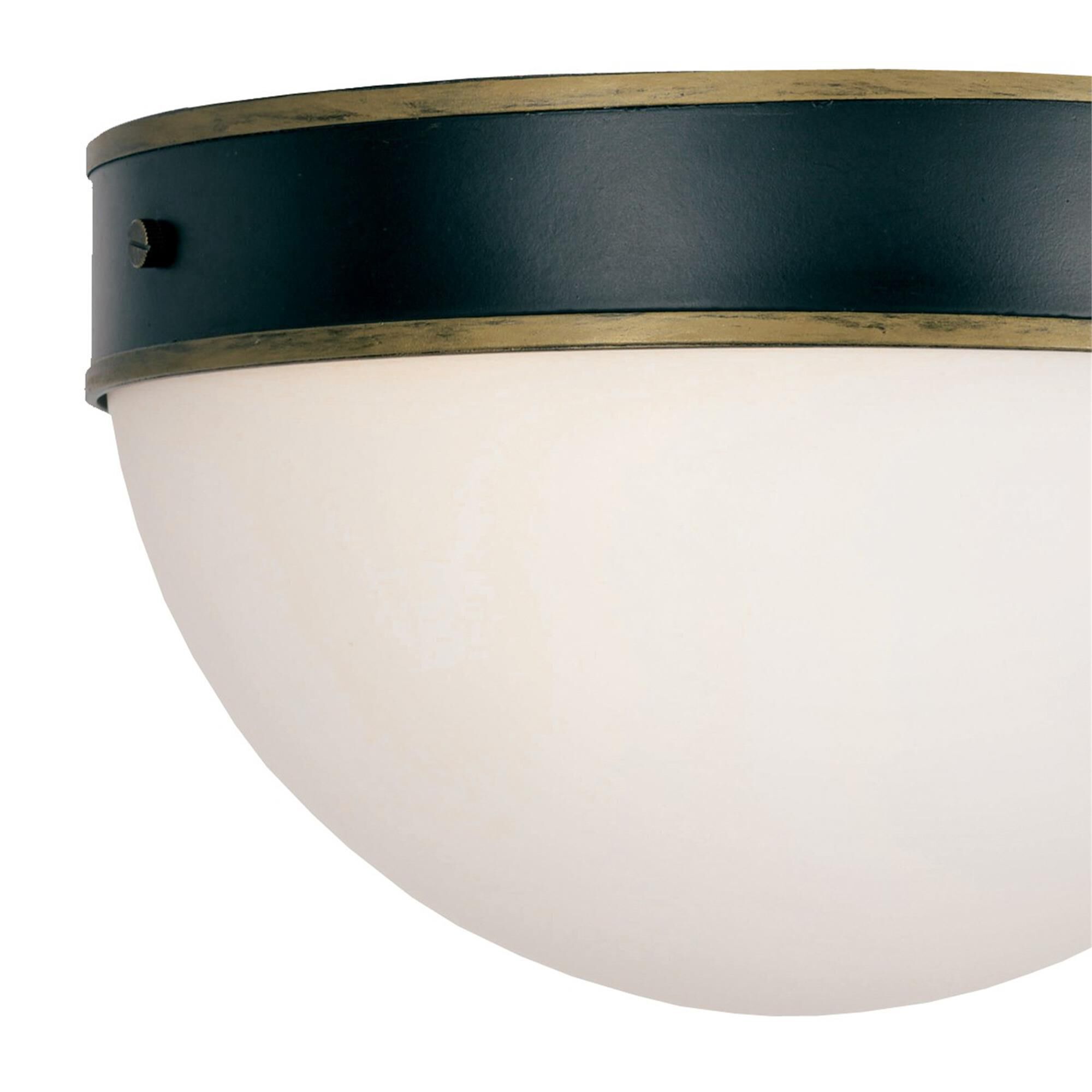 Brian Patrick Flynn Capsule 12 Inch 2 Light Outdoor Flush Mount,