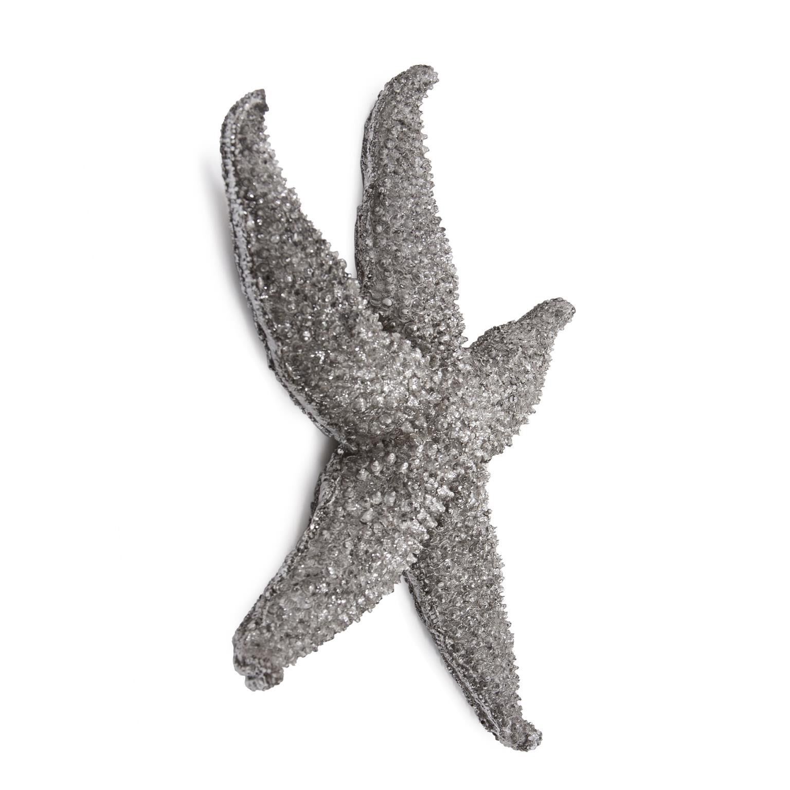 Starfish Alternative Wall Art by Howard Elliott Collection