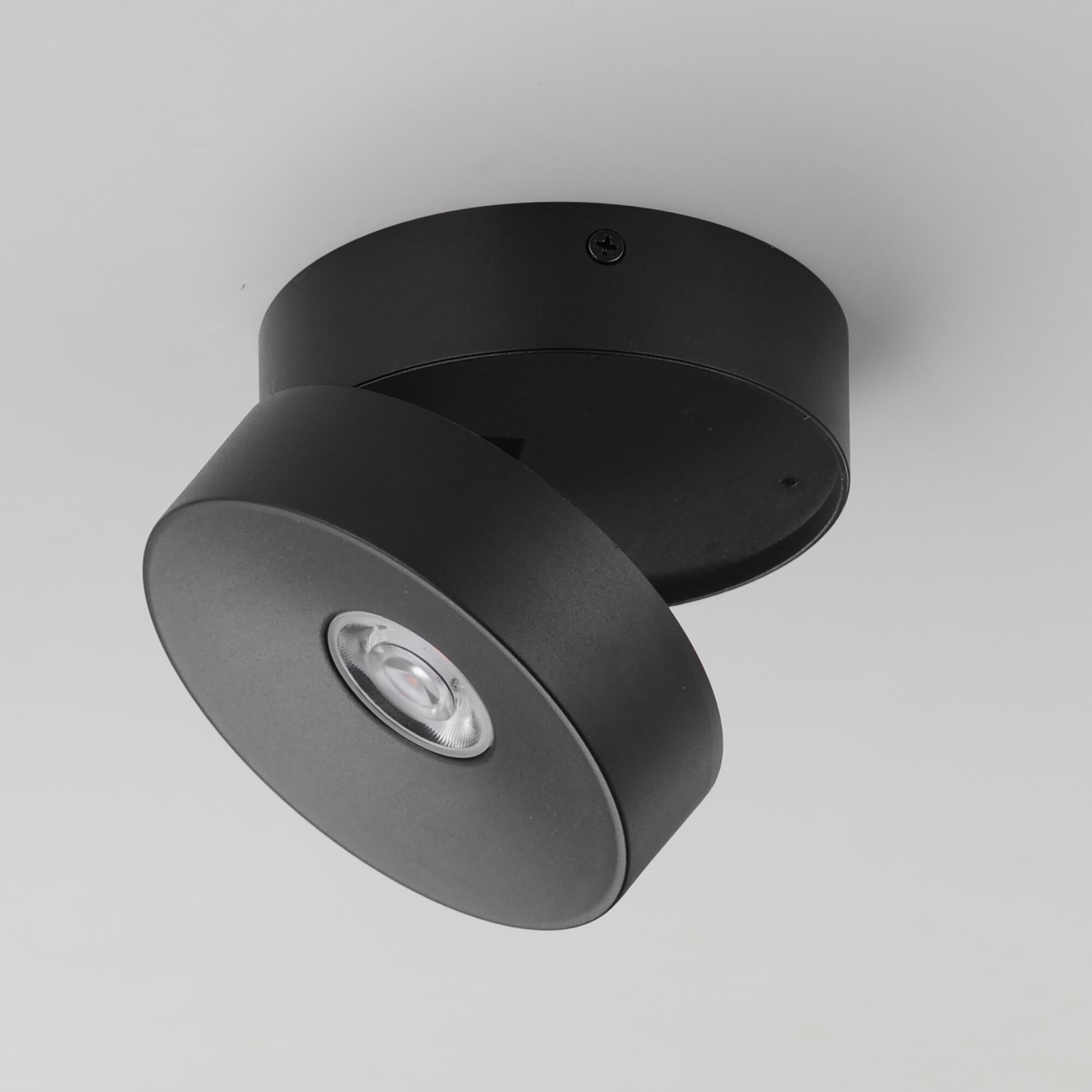 Swinger 5 Inch Flush Mount by Maxim Lighting