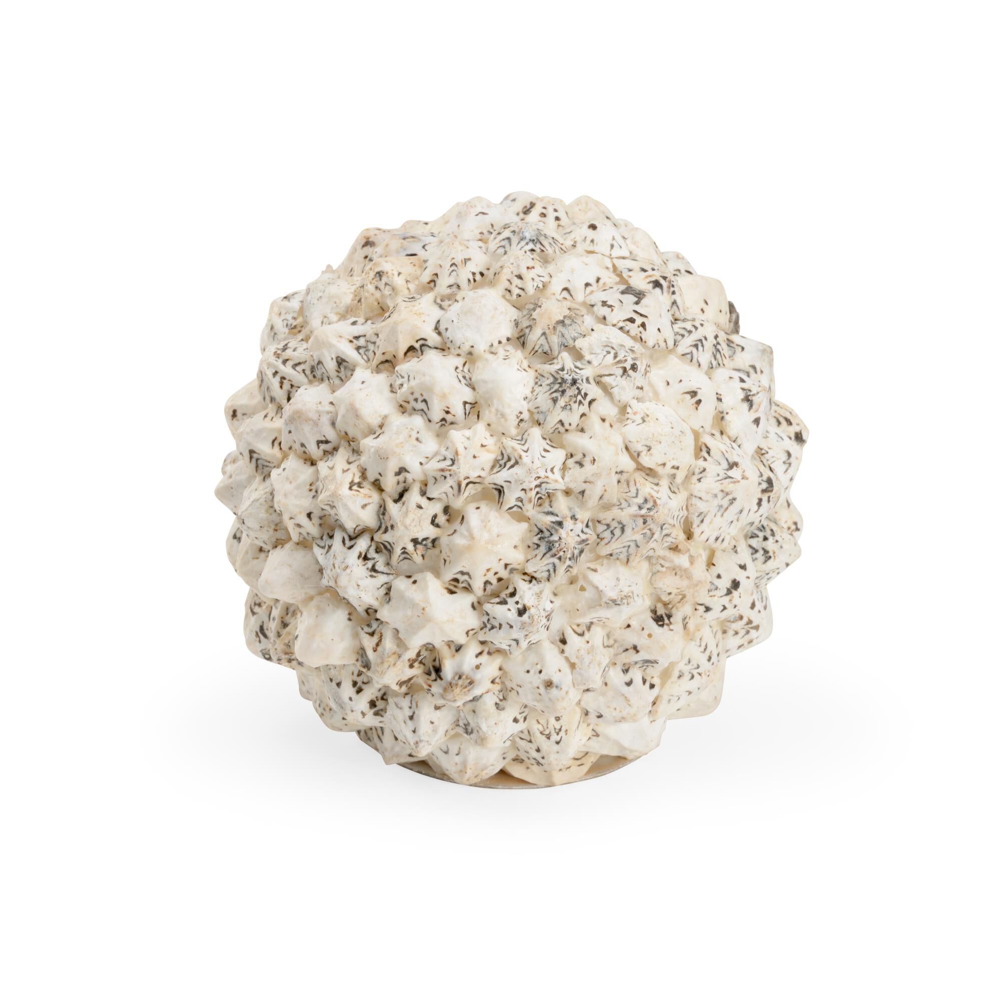 Shell Ball Decorative Sphere by Chelsea House