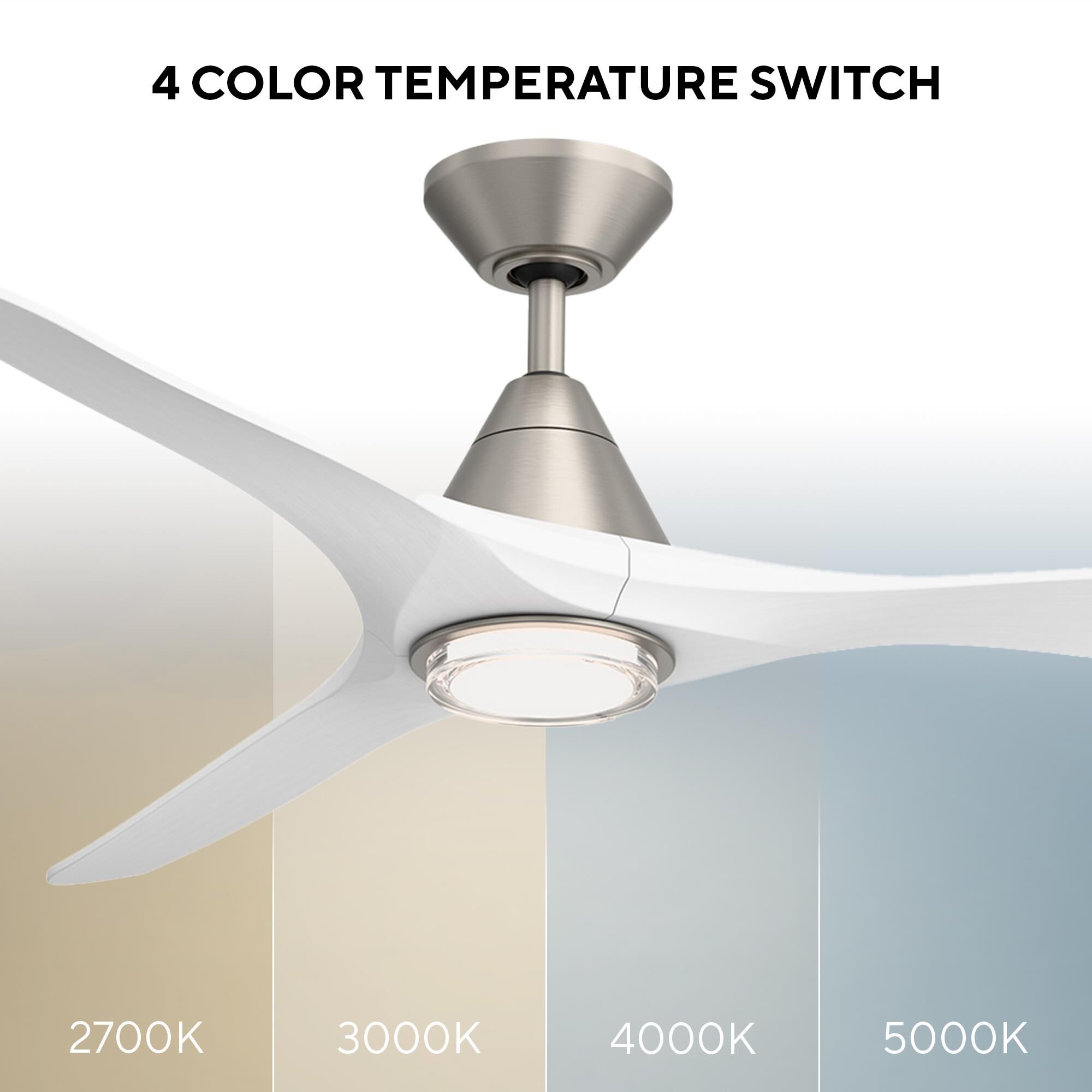 Carve 60 Inch Ceiling Fan with Light Kit by Modern Forms
