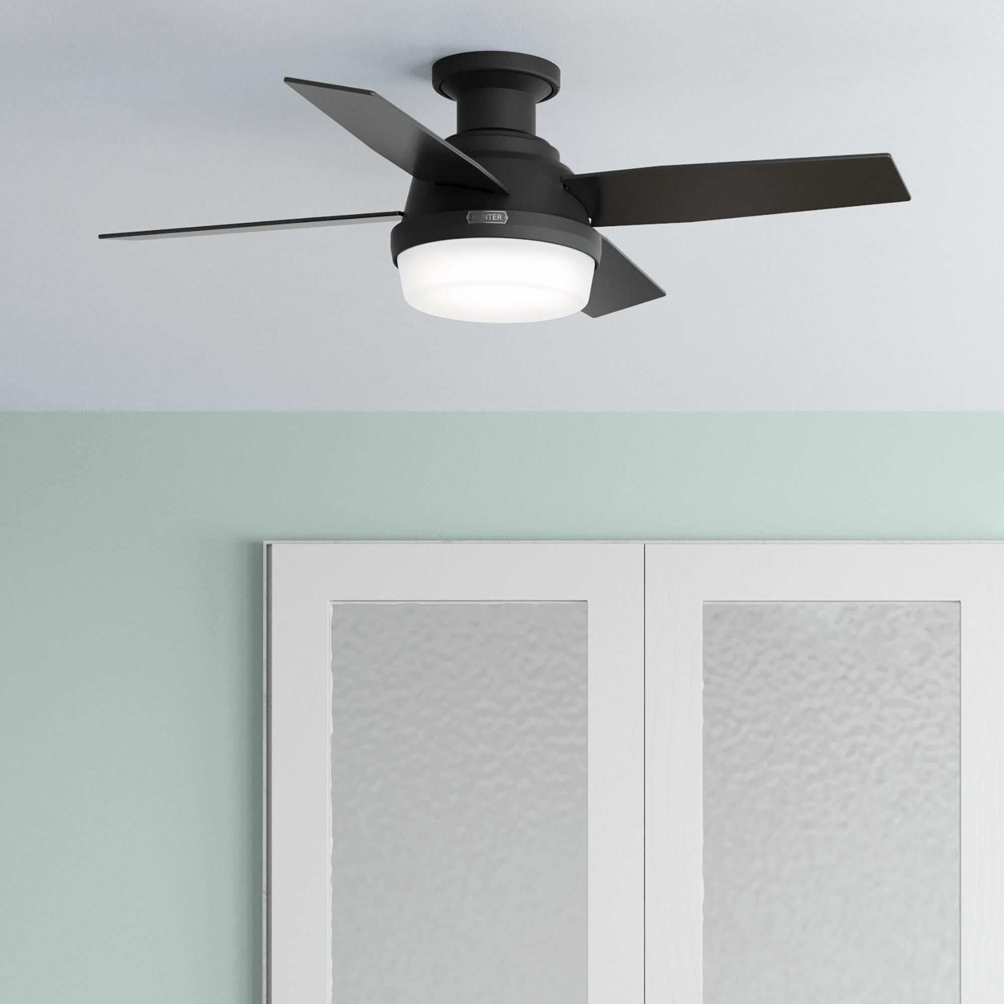Dempsey 44 Inch Ceiling Fan with Light Kit by Hunter Fan