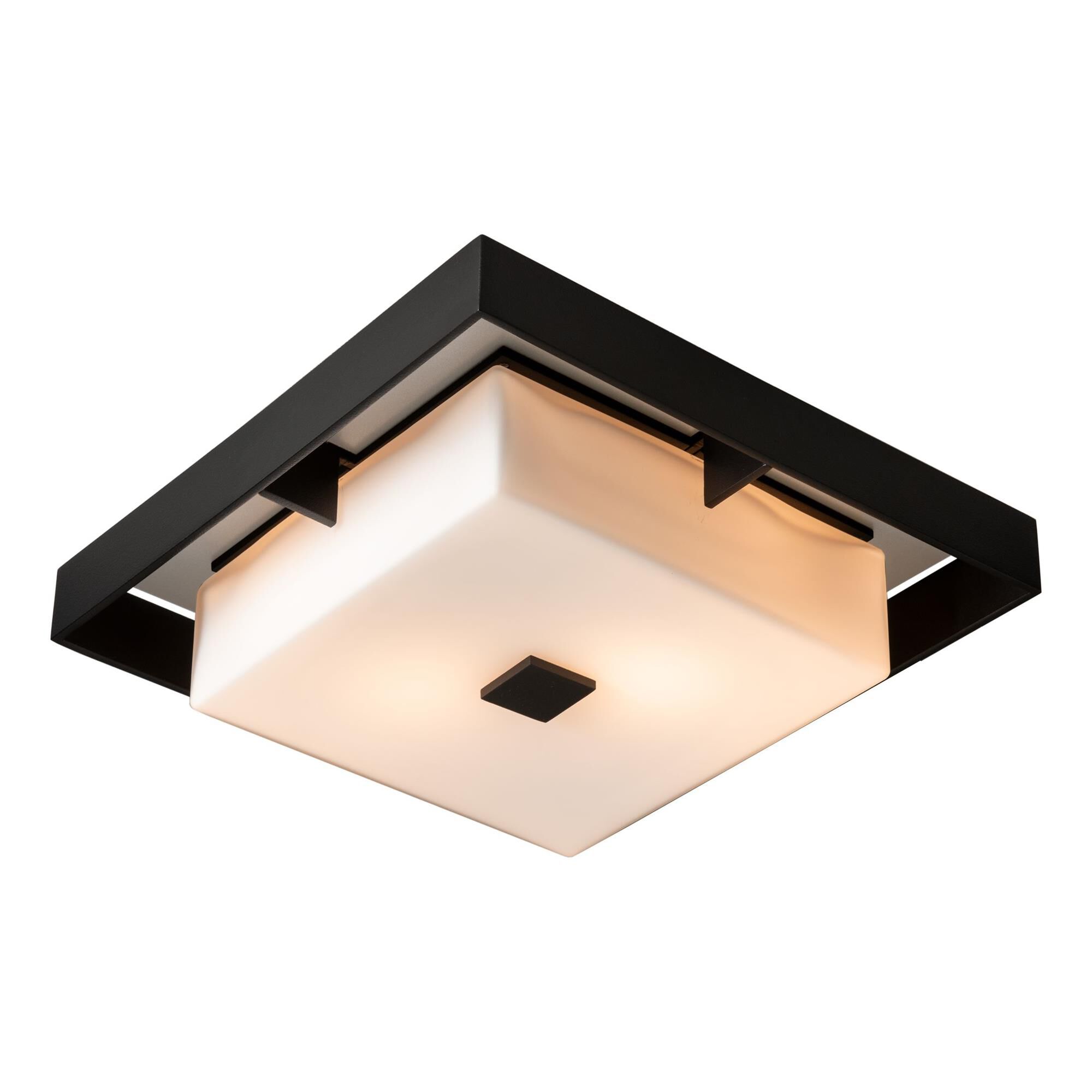 Shadow Box 12 Inch 2 Light Outdoor Flush Mount,