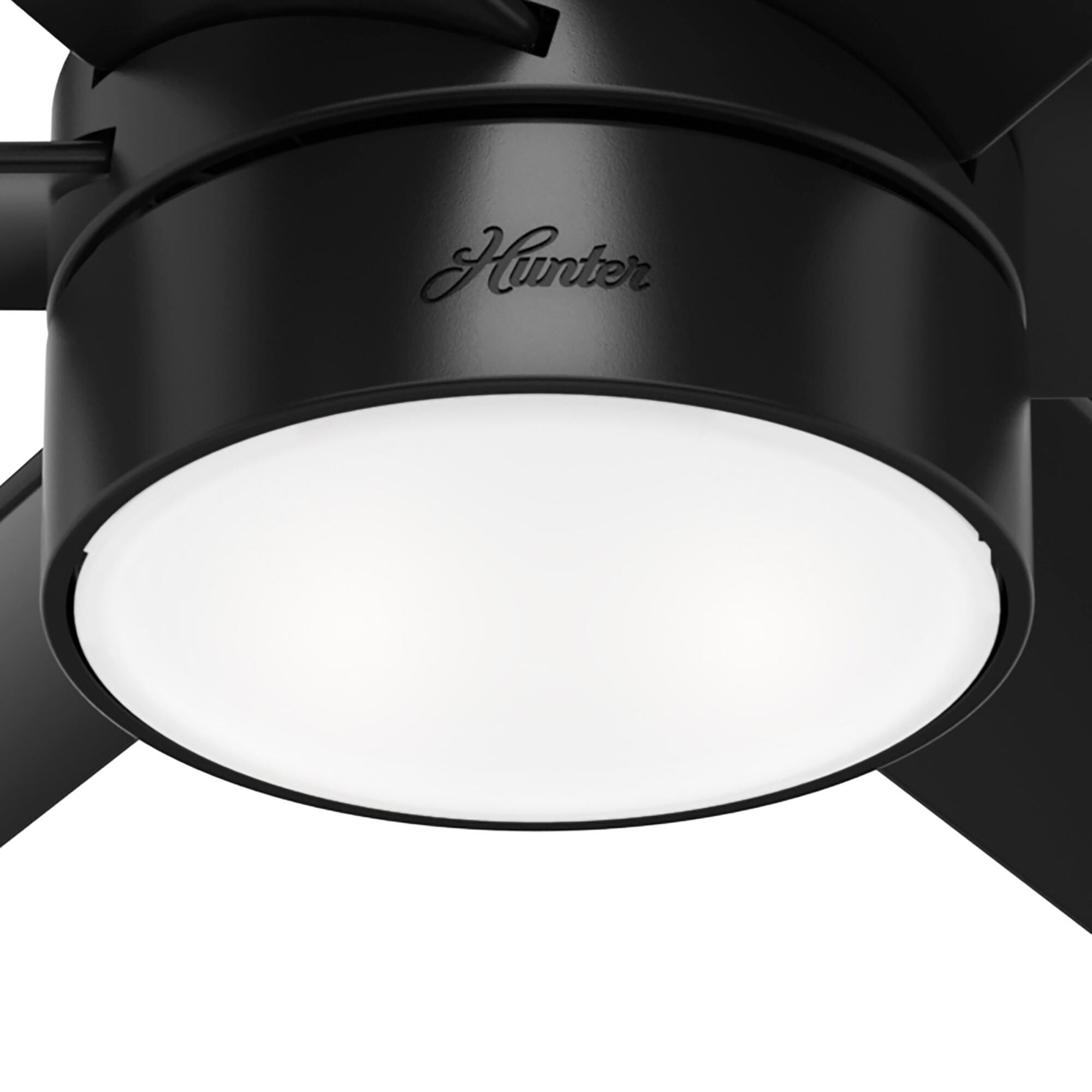 Solaria Ceiling Fan by Hunter Fan