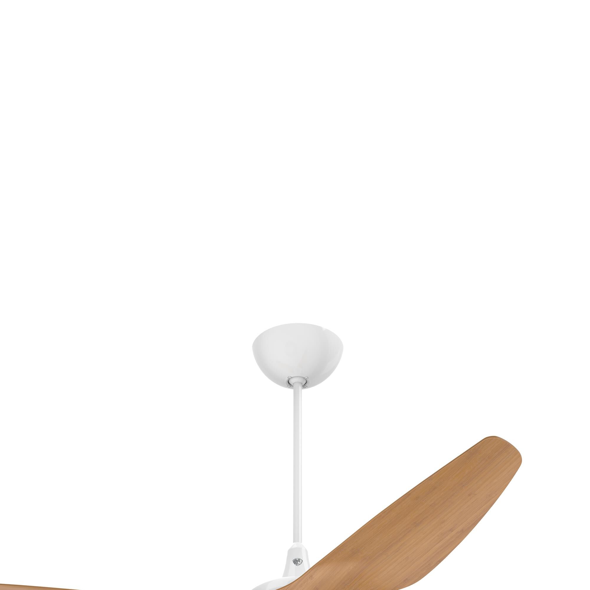 Haiku 20 Inch Fan Downrod by Big Ass Fans