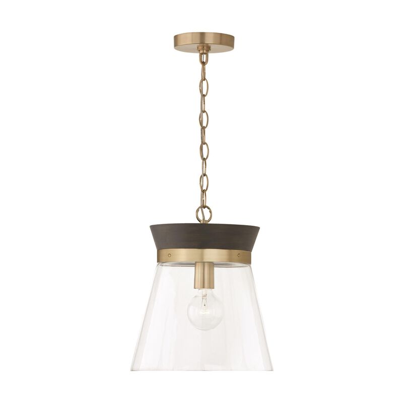 Capital Lighting Fixture Company Finn 12 Inch Mini Pendant