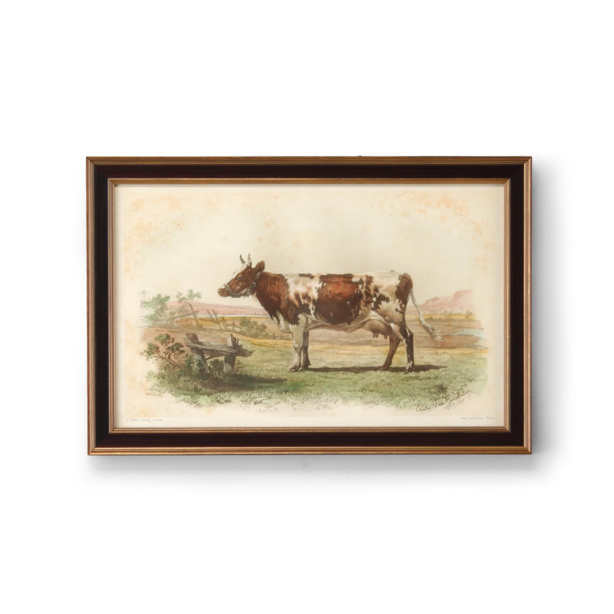 VACHE D'AYR Print by Chelsea House