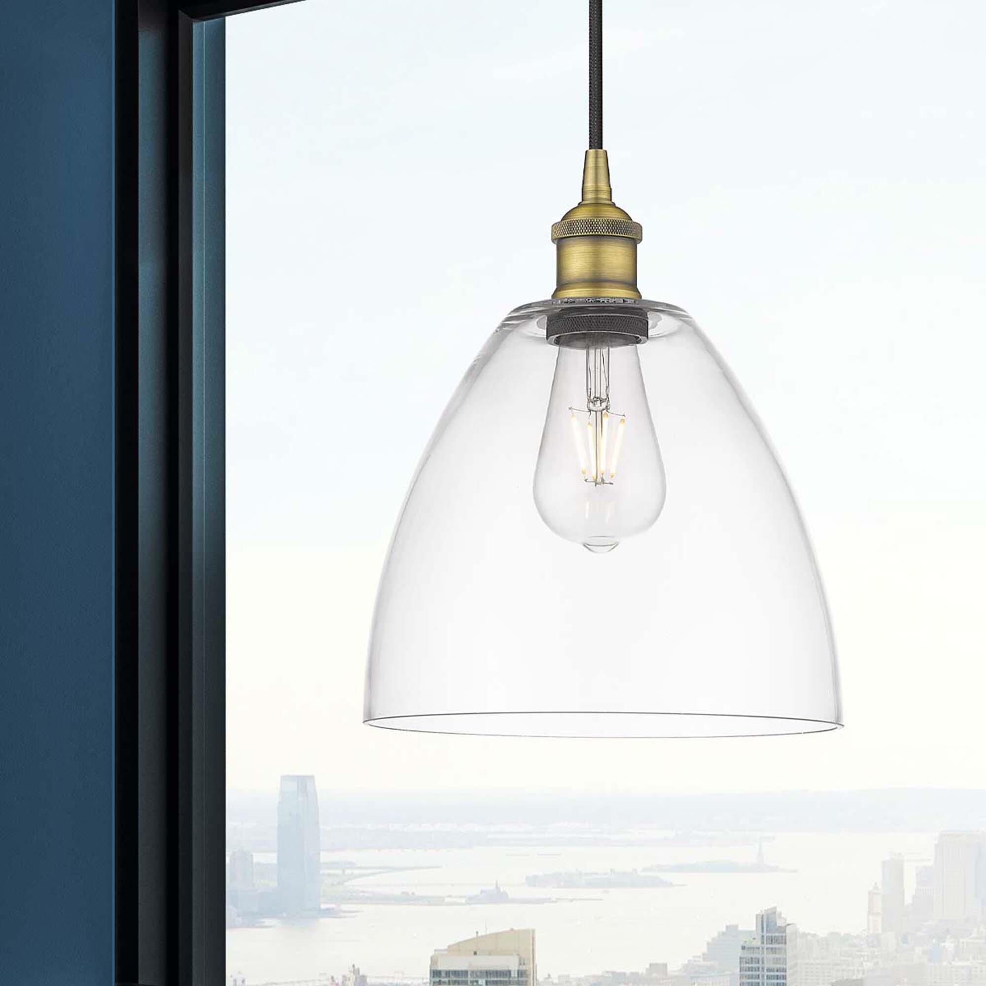 Bruno Marashlian Edison Dome 9 Inch Mini Pendant by Innovations Lighting