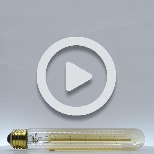 30 Watt 1800K T9 Vintage Light Bulb by Bulbrite