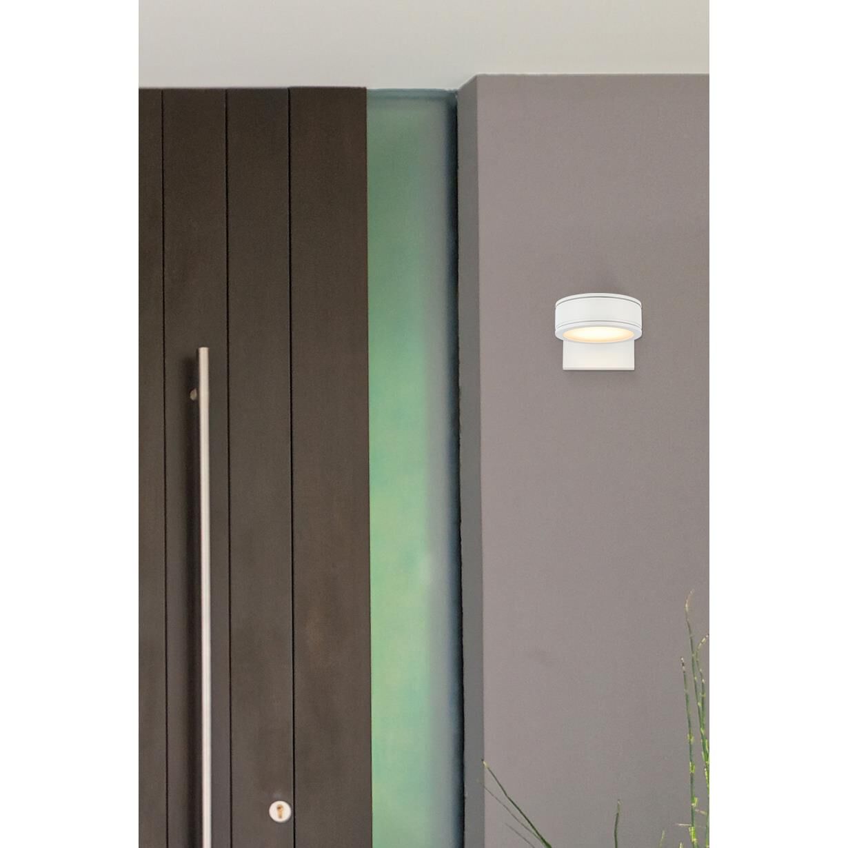 Raine Outdoor Wall Light by Elegant Lighting