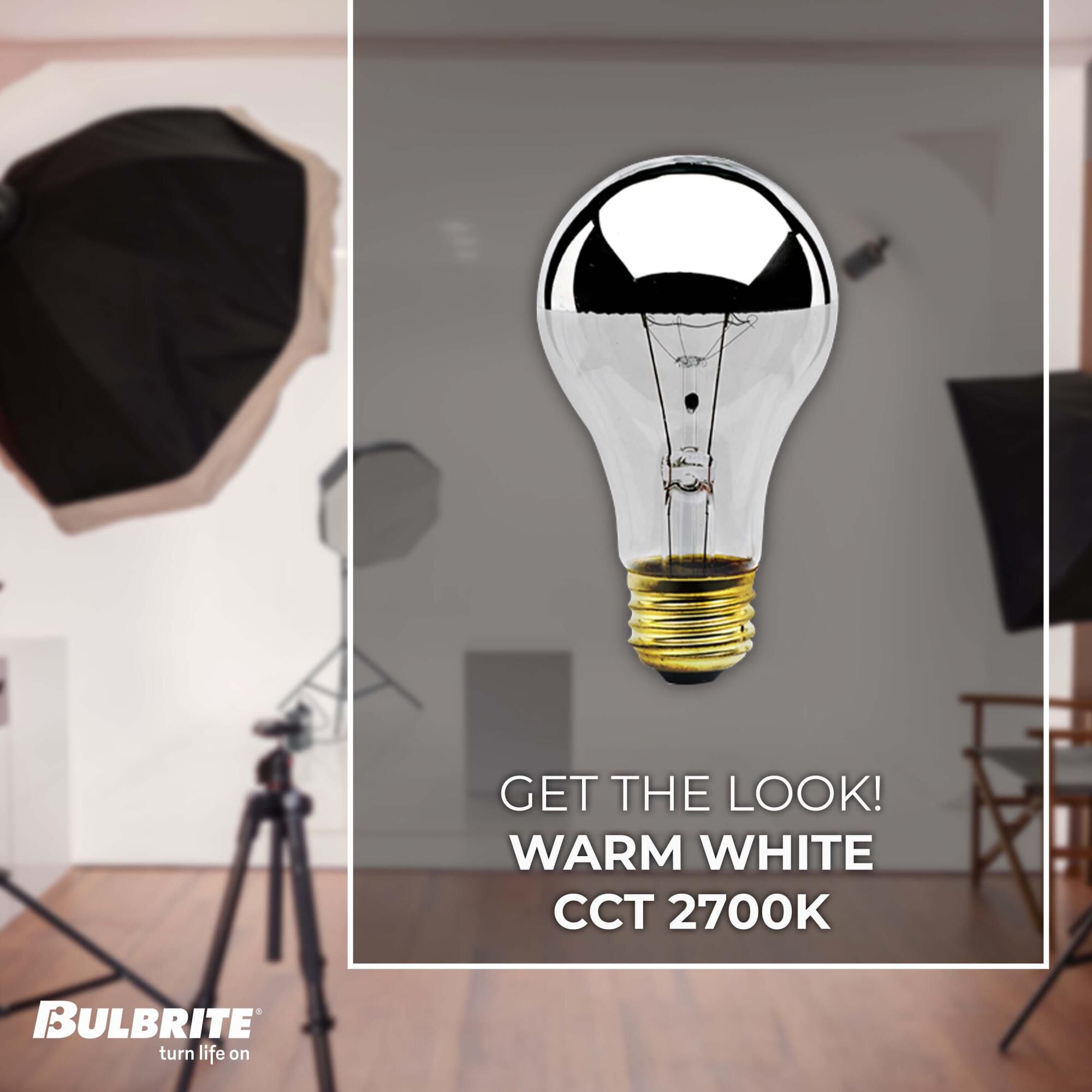 60 Watt 2700K A19 Incandescent Light Bulb,
