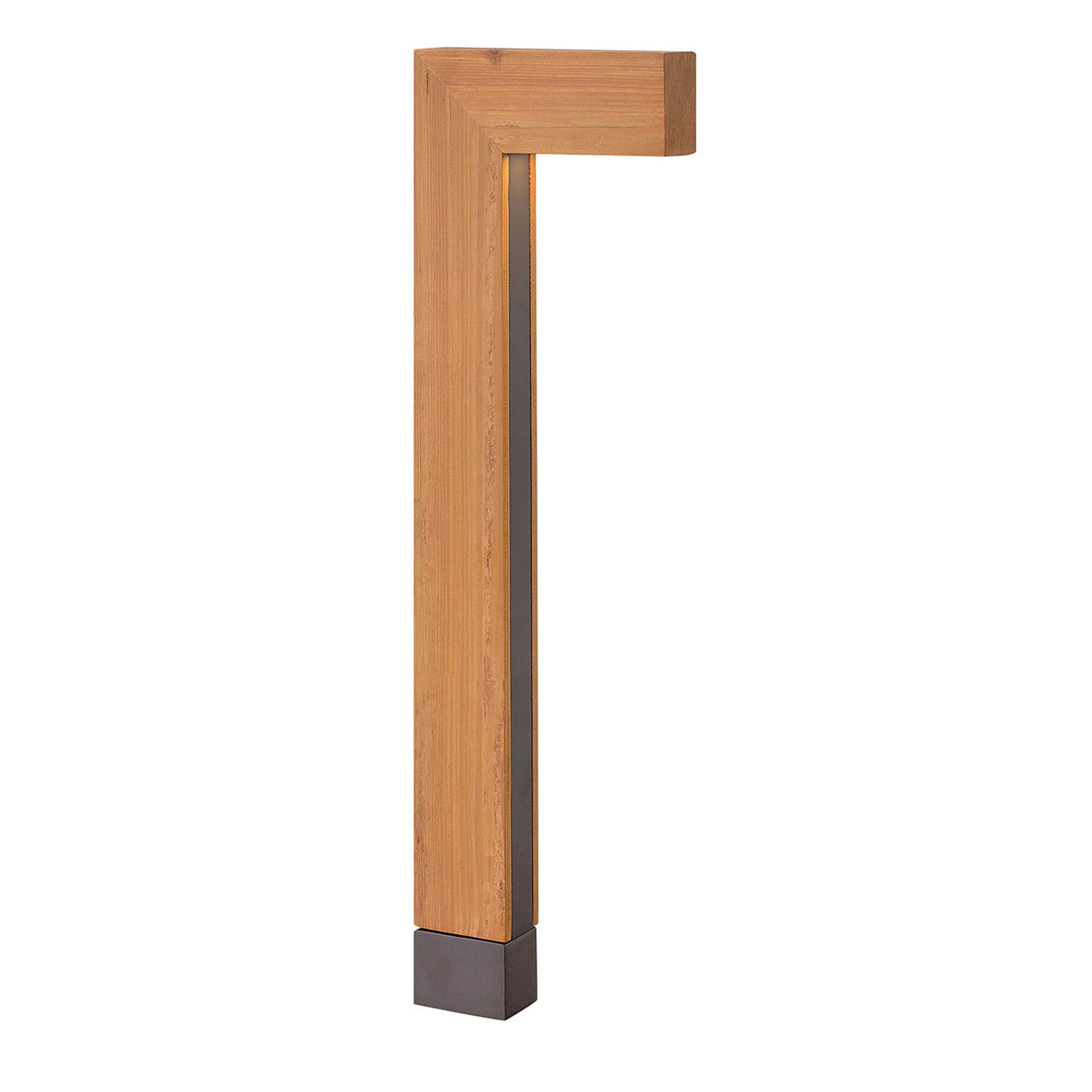 Atlantis 22 Inch Decorative Pathway Light,