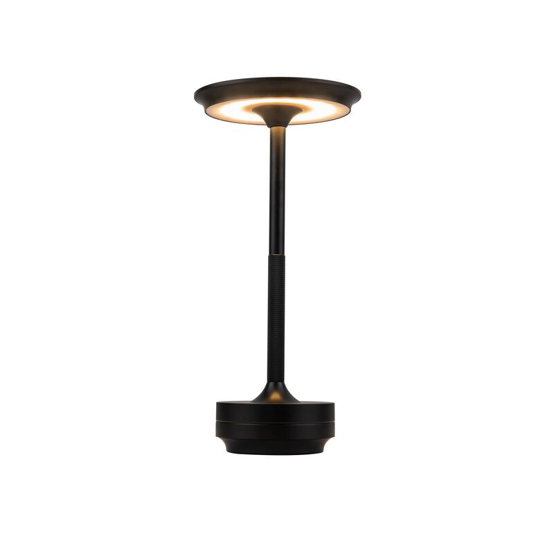 Rikki Small Table Lamp by Craftmade