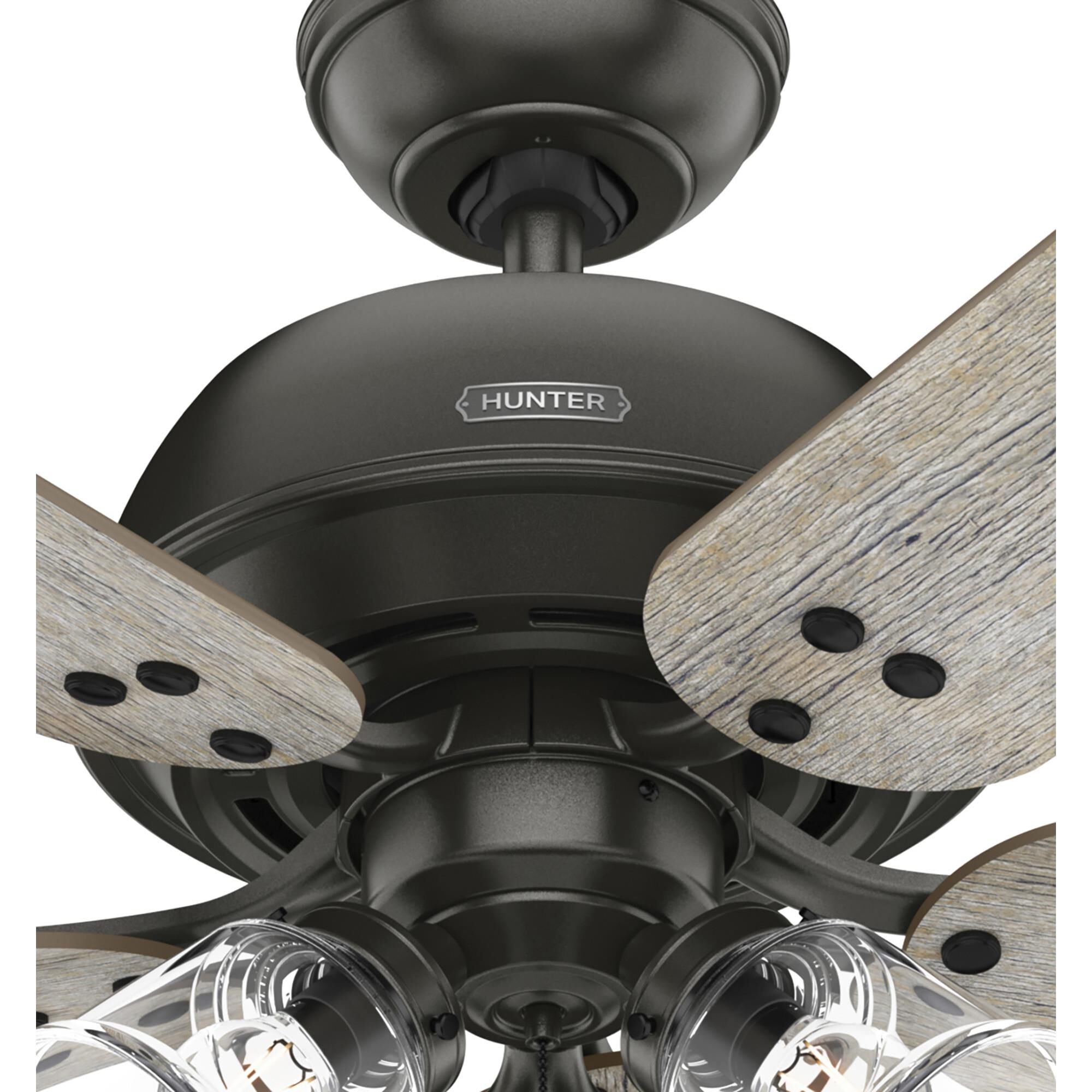 Shady Grove Ceiling Fan by Hunter Fan