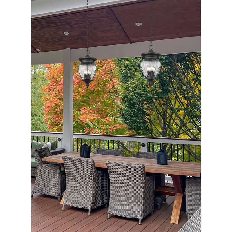 Davina Medium Outdoor Hanging Lantern by Z-Lite