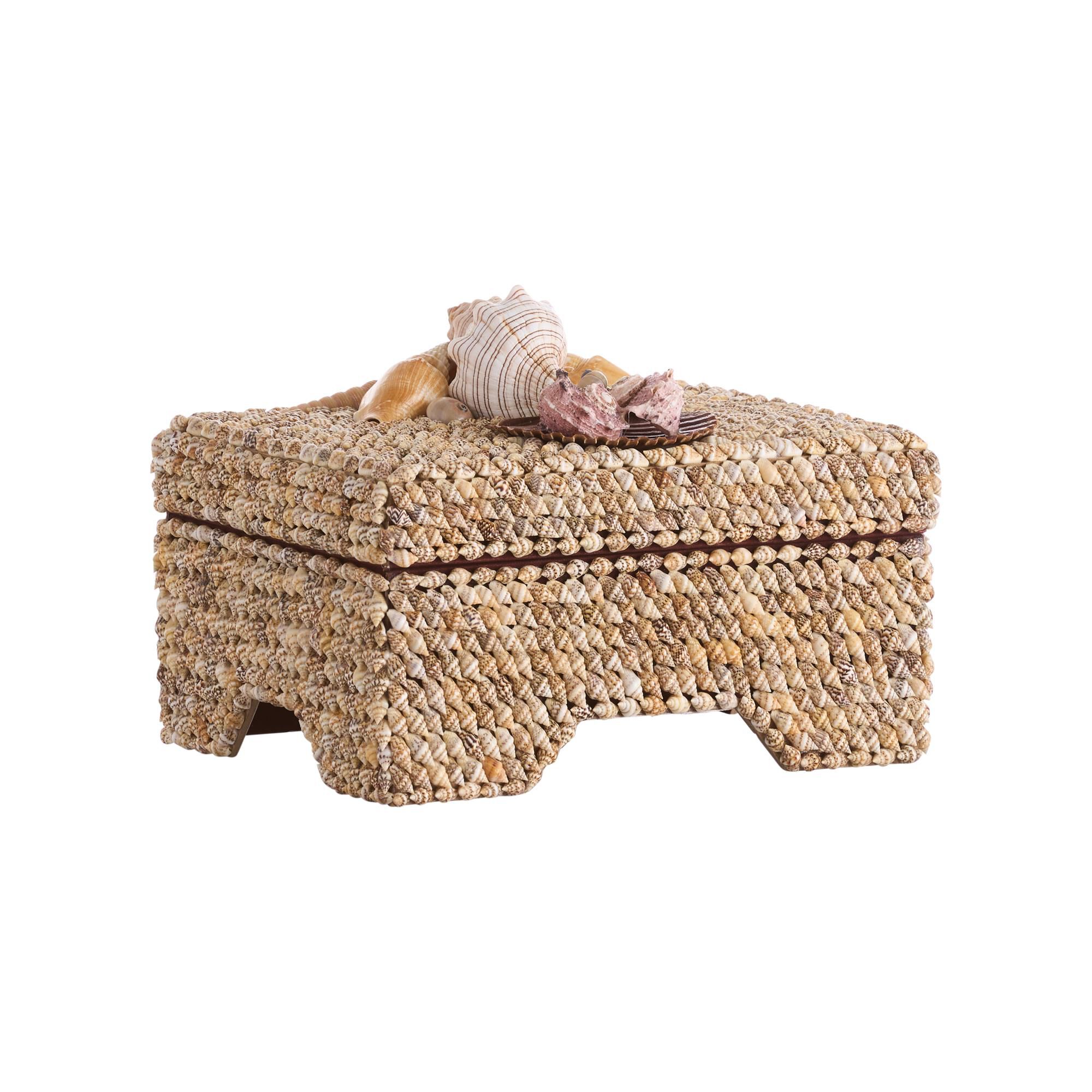 Island Shell Accent Box by Chelsea House