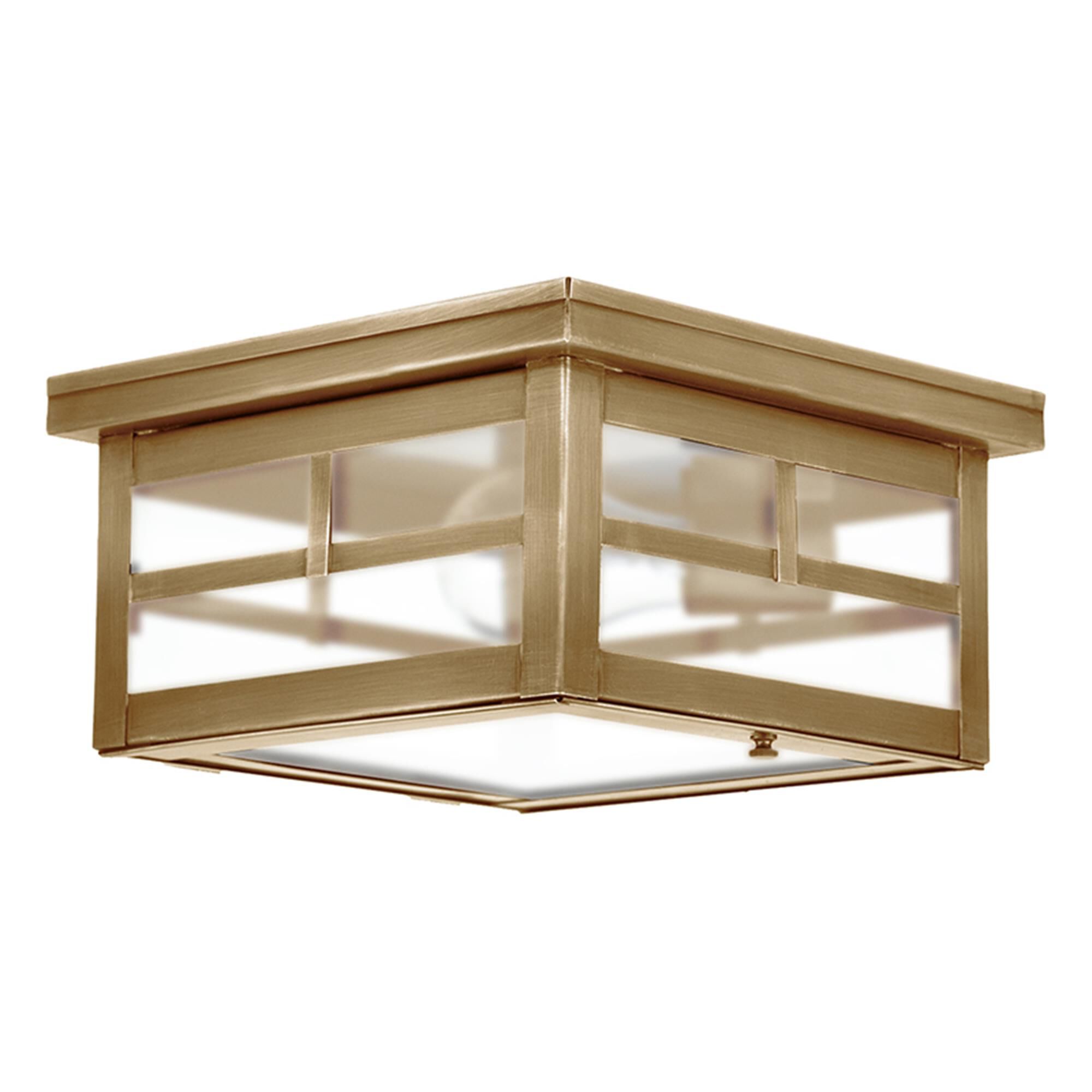 Williams 9 Inch Outdoor Flush Mount,