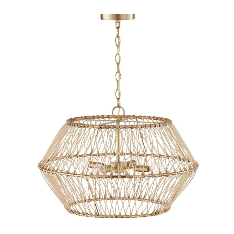 Wren 24 Inch Large Pendant by Capital Lighting Fixture Company