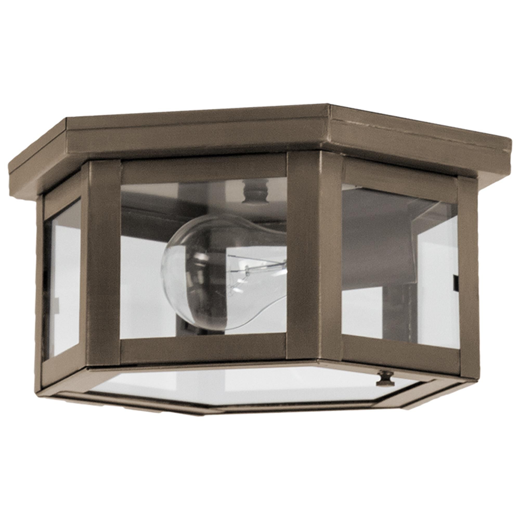 Williams 10 Inch Outdoor Flush Mount,